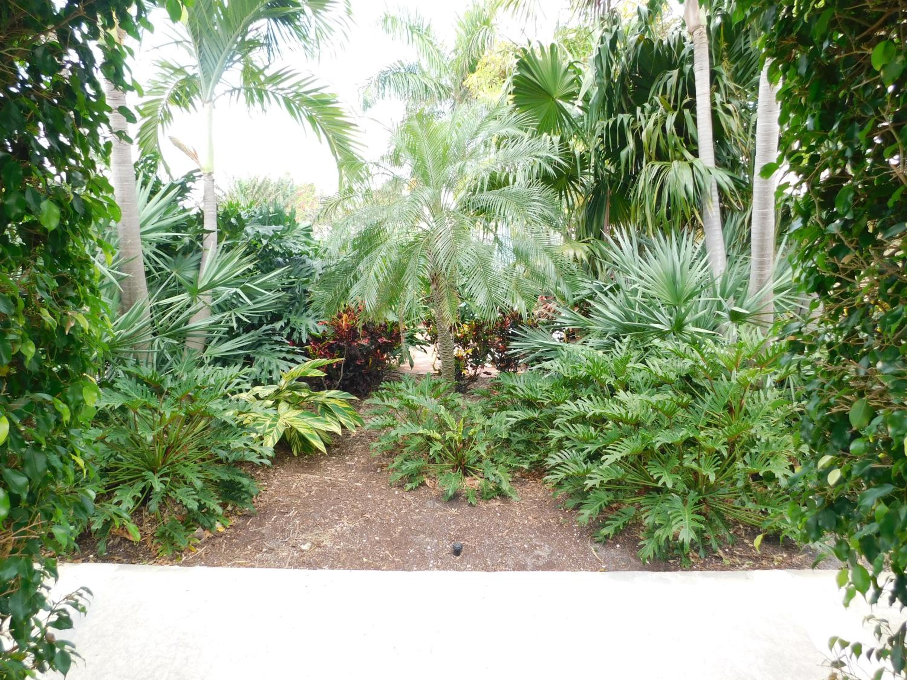 The Grove Beach Condominiums