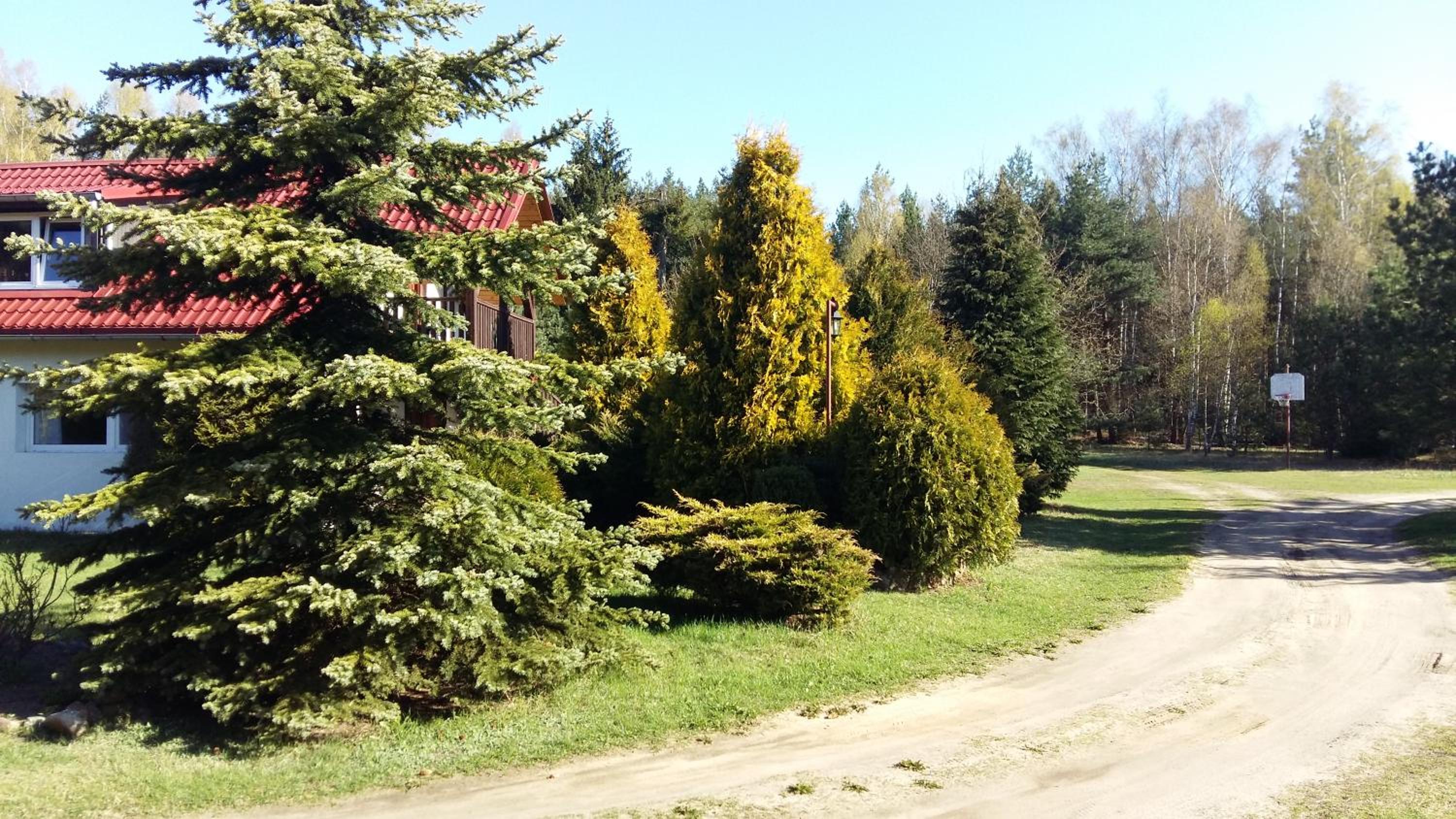 Photo 35