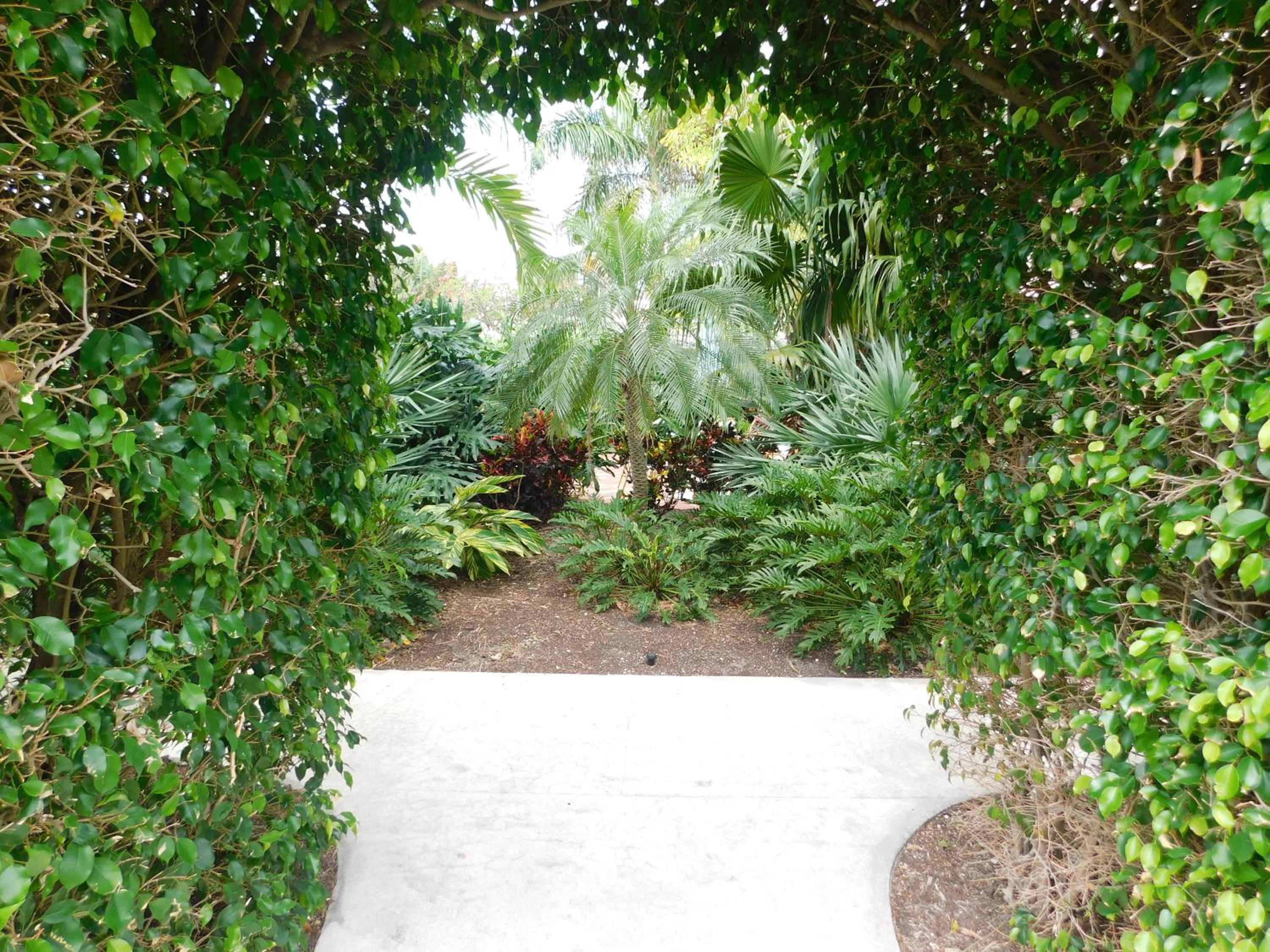 The Grove Beach Condominiums