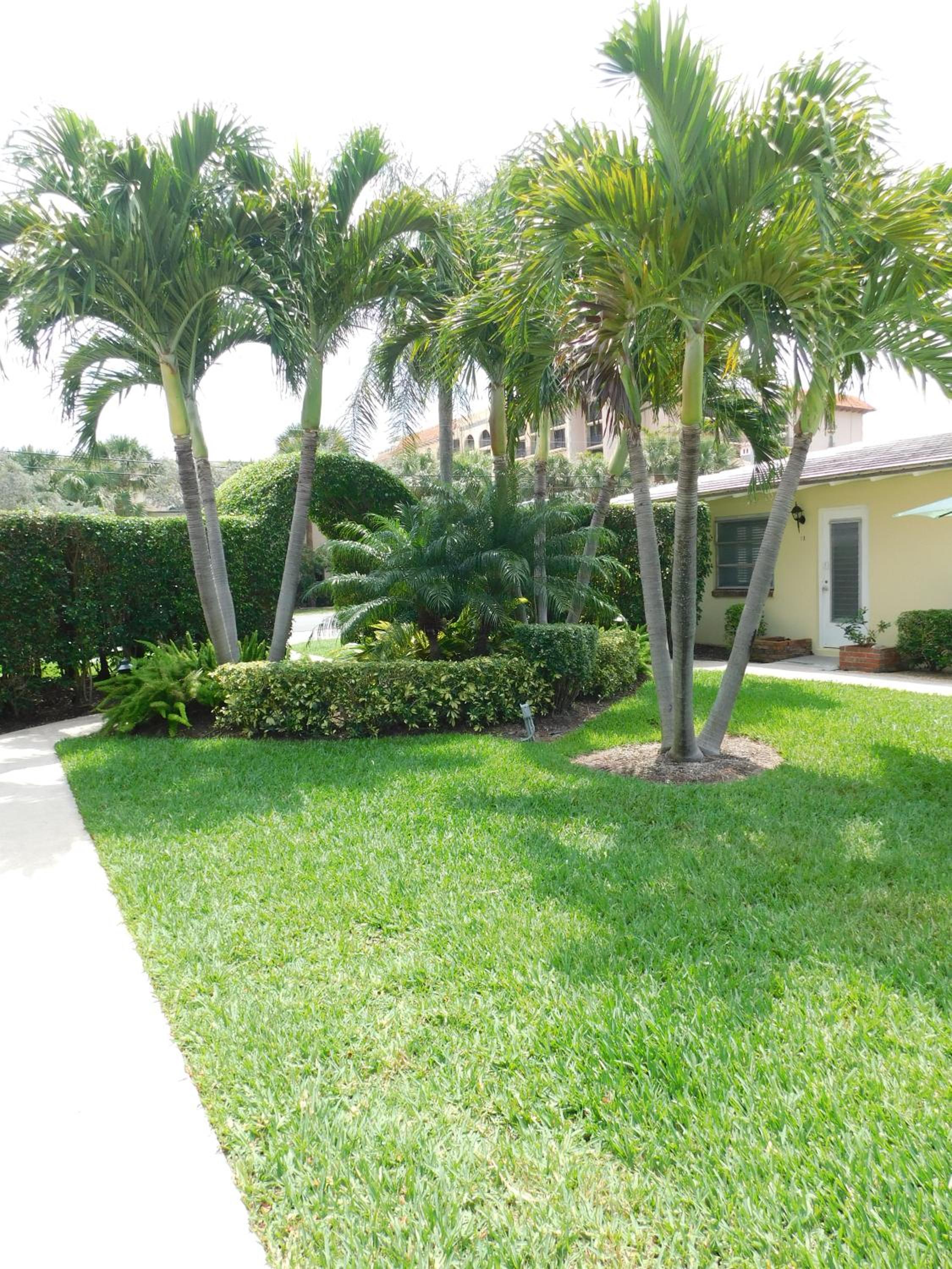 The Grove Beach Condominiums