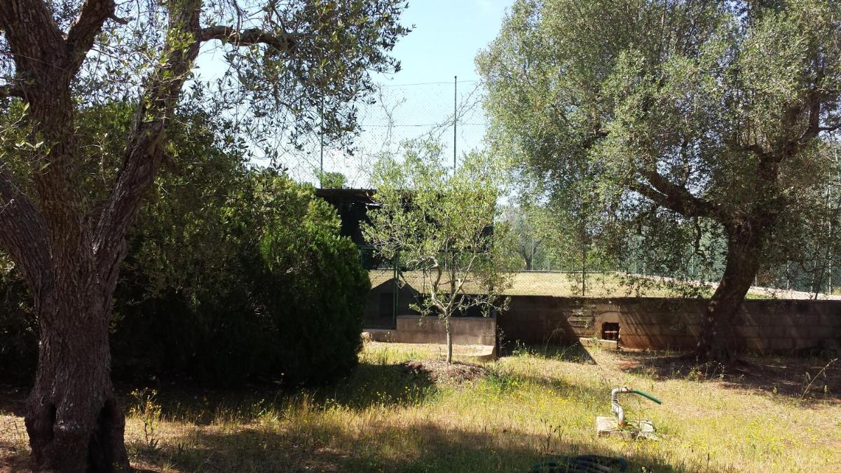 Photo 42