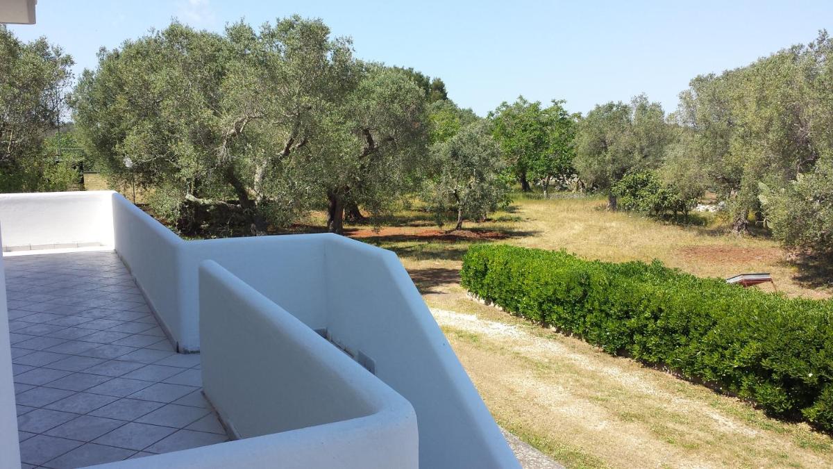 Photo 45