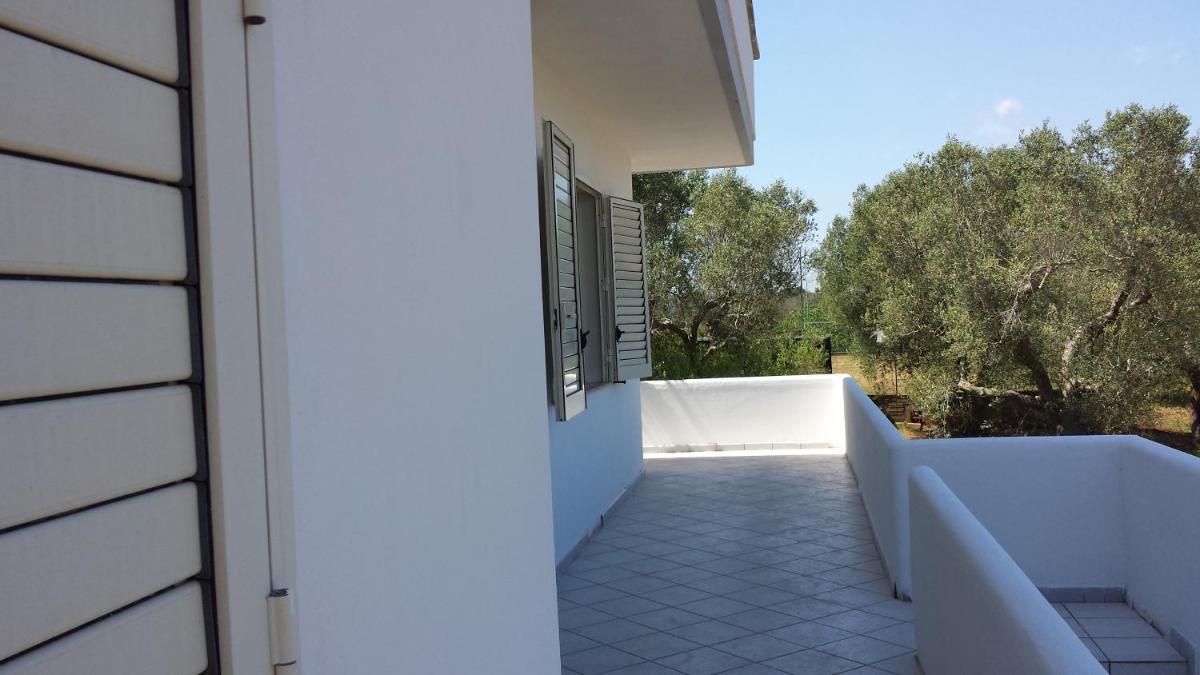 Photo 46