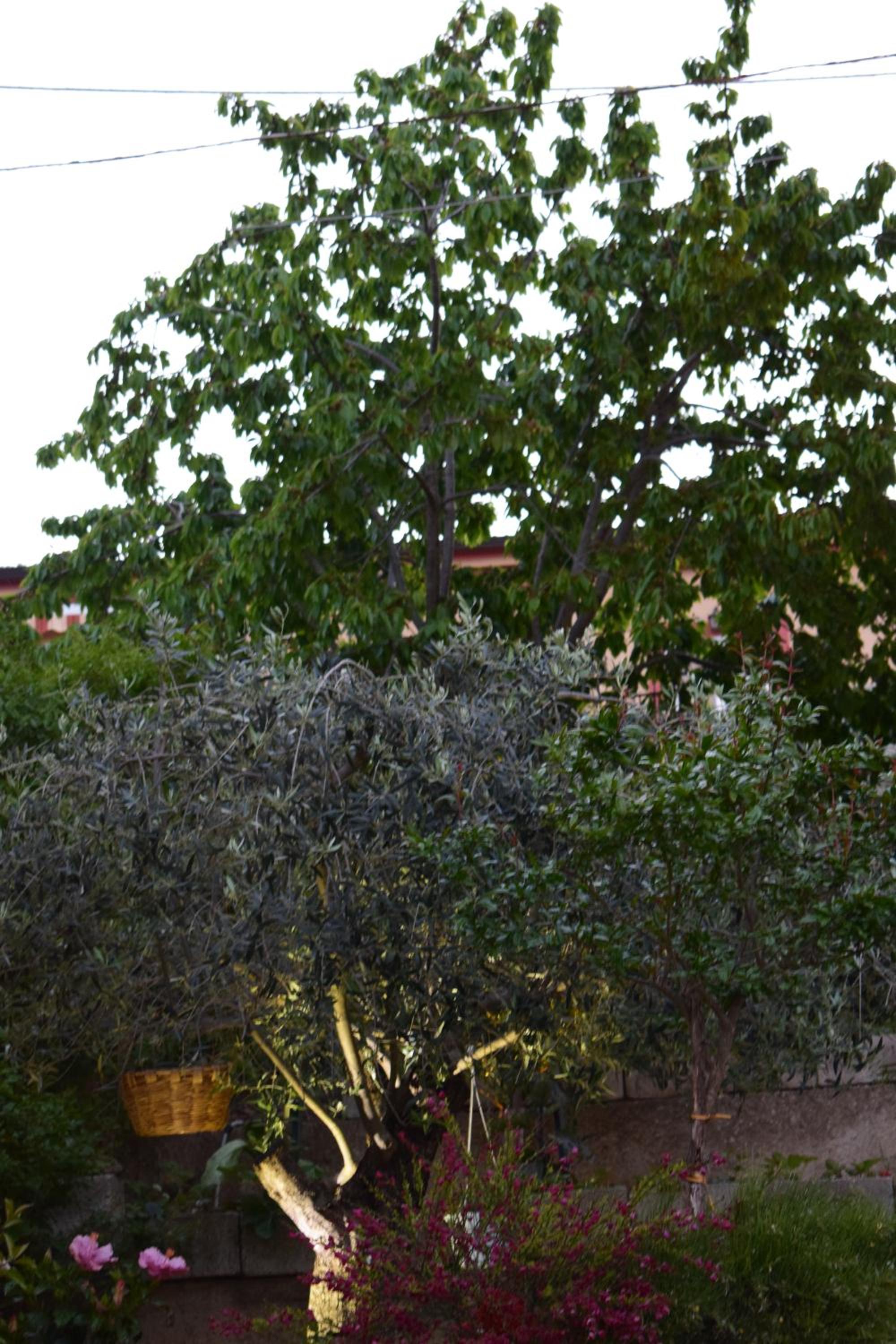 La Vecchia Taverna B&B