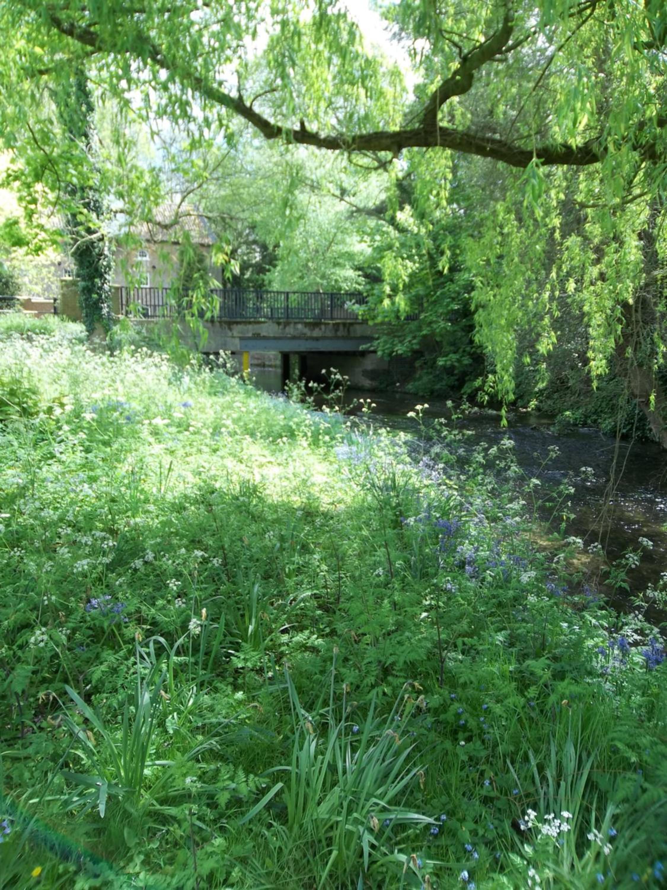 Photo 15
