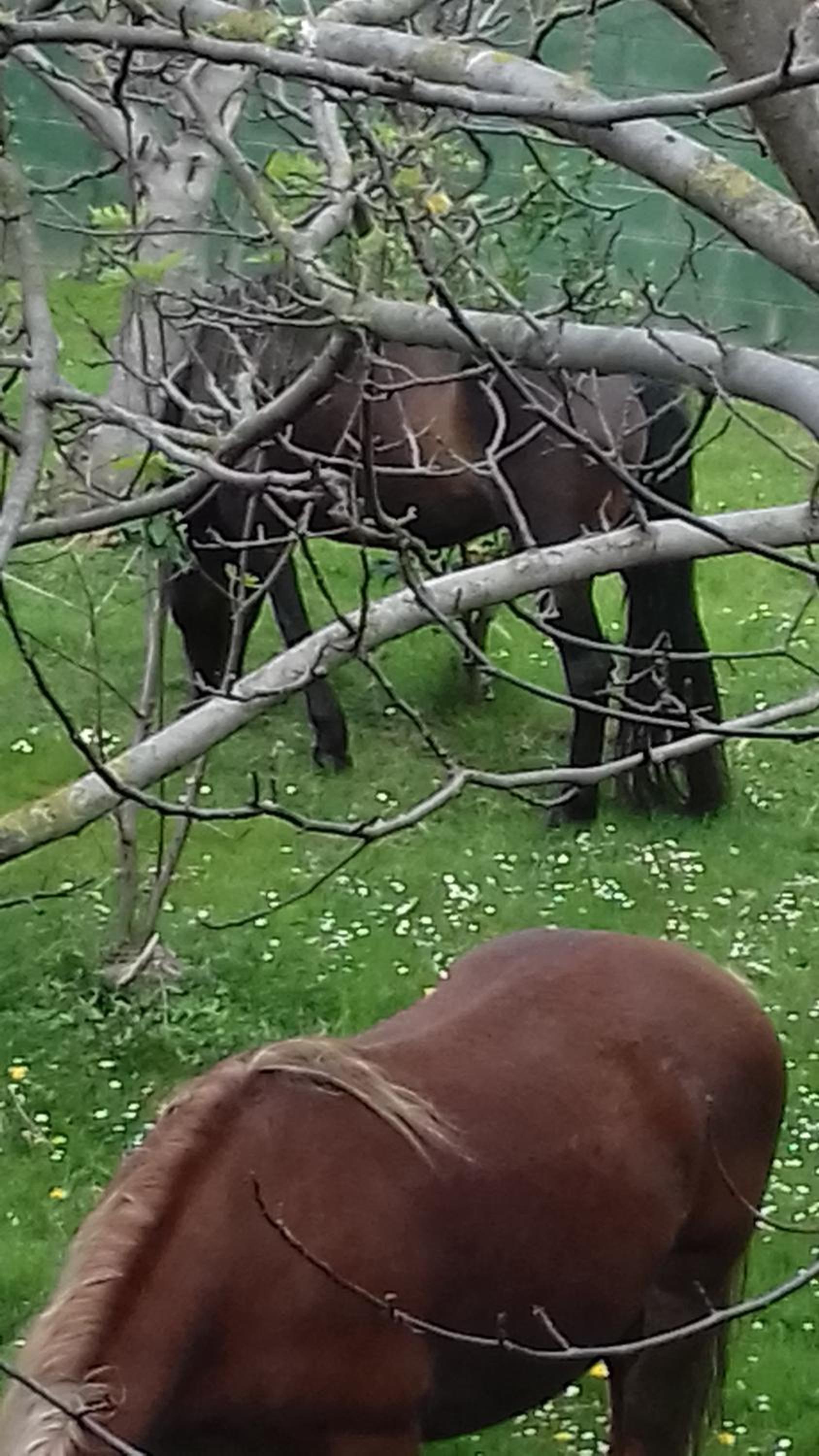 Casa Velarde - Property Image 23