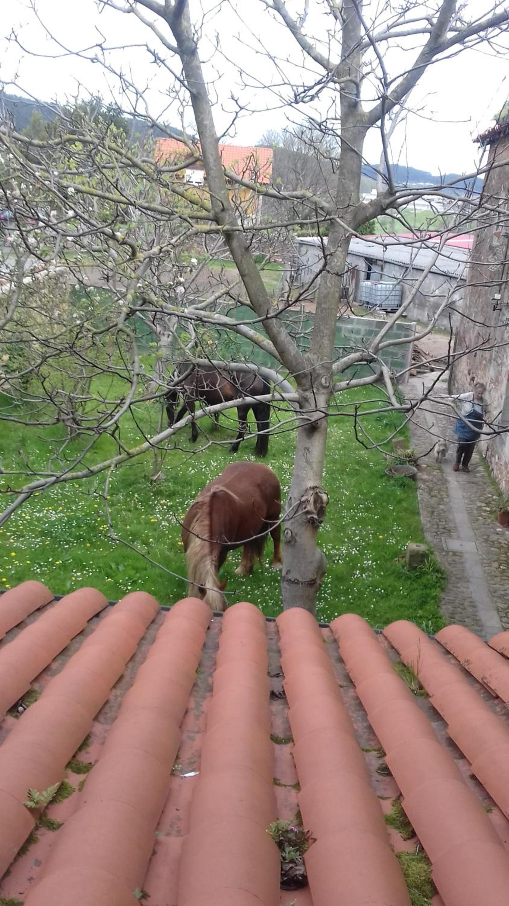 Casa Velarde - Property Image 22