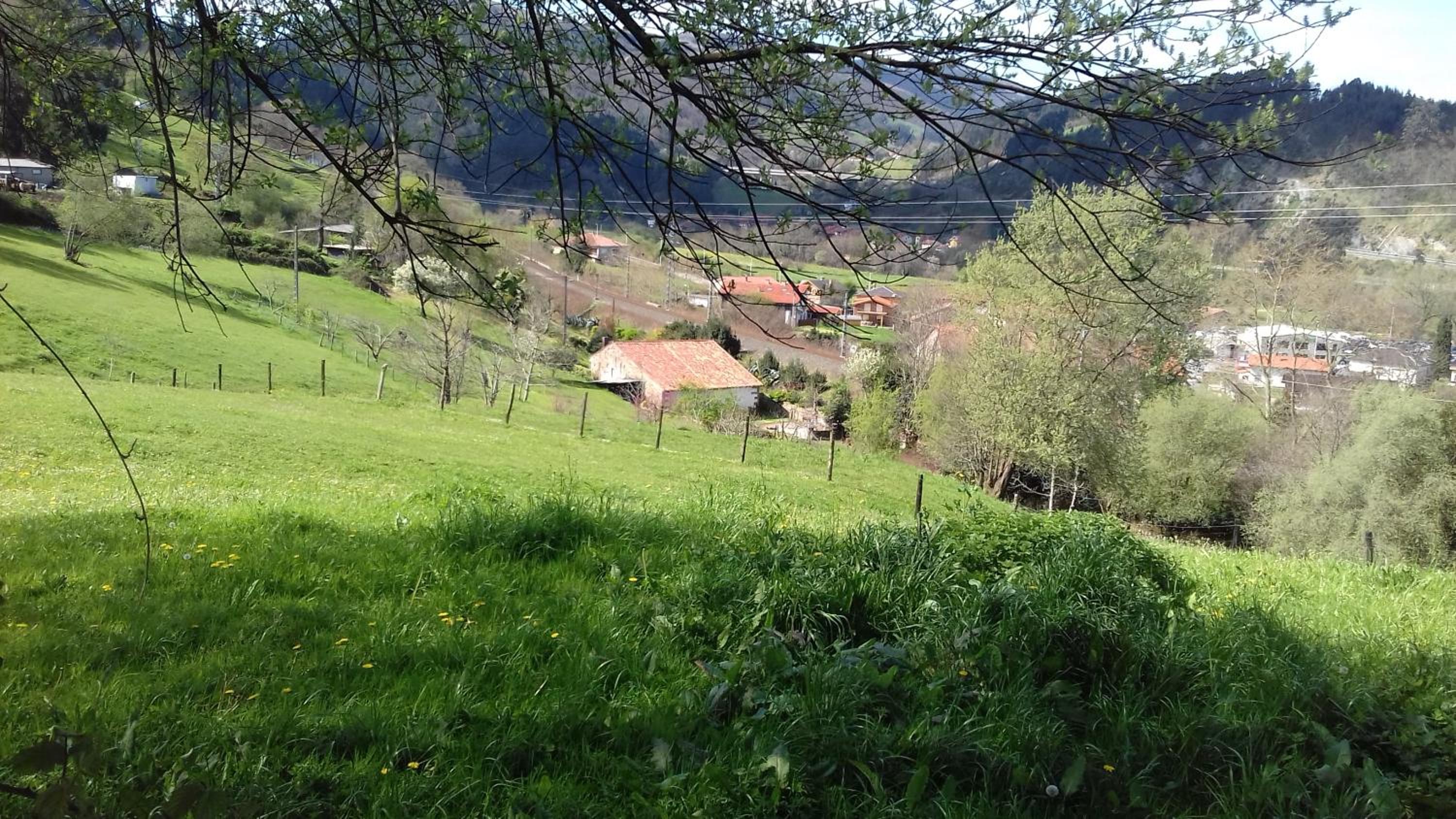 Casa Velarde - Property Image 20