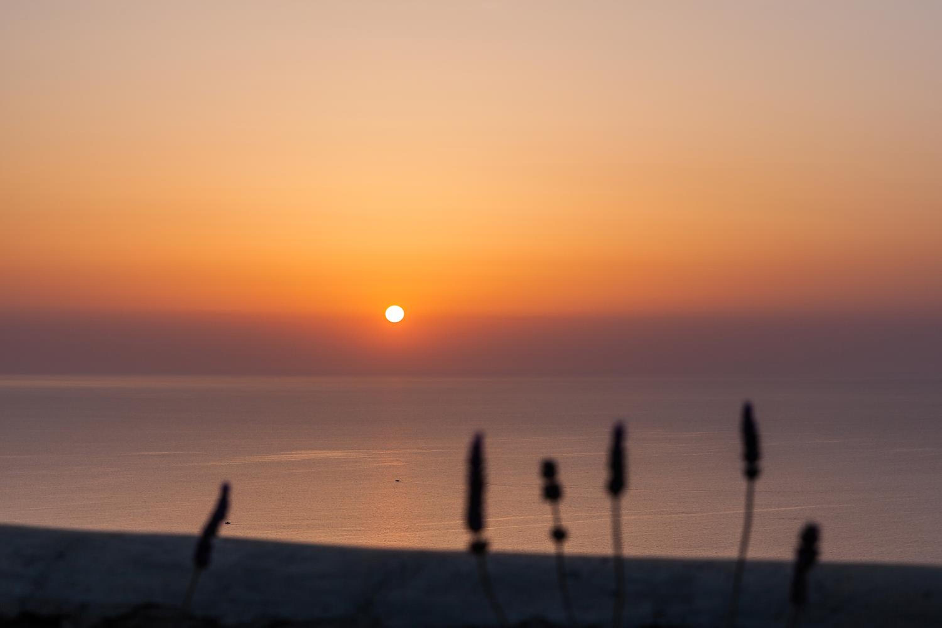 Villa Vinea Santorini