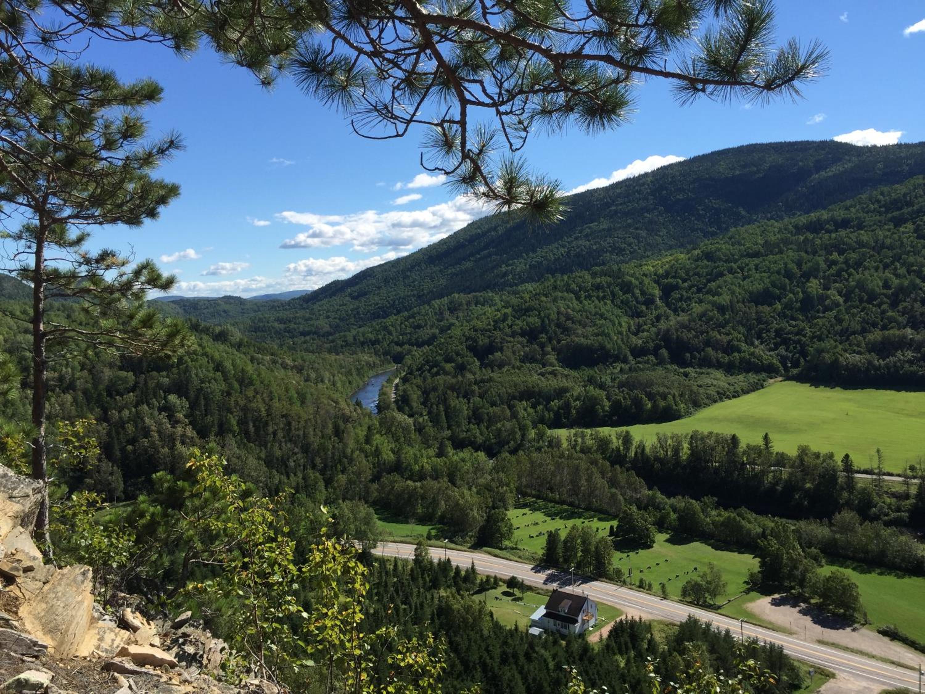 Résidence Touristique Les Bouleaux