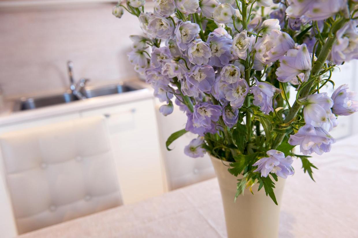 Ca' Cappellis - Luxury B&B and Exclusive Apartments