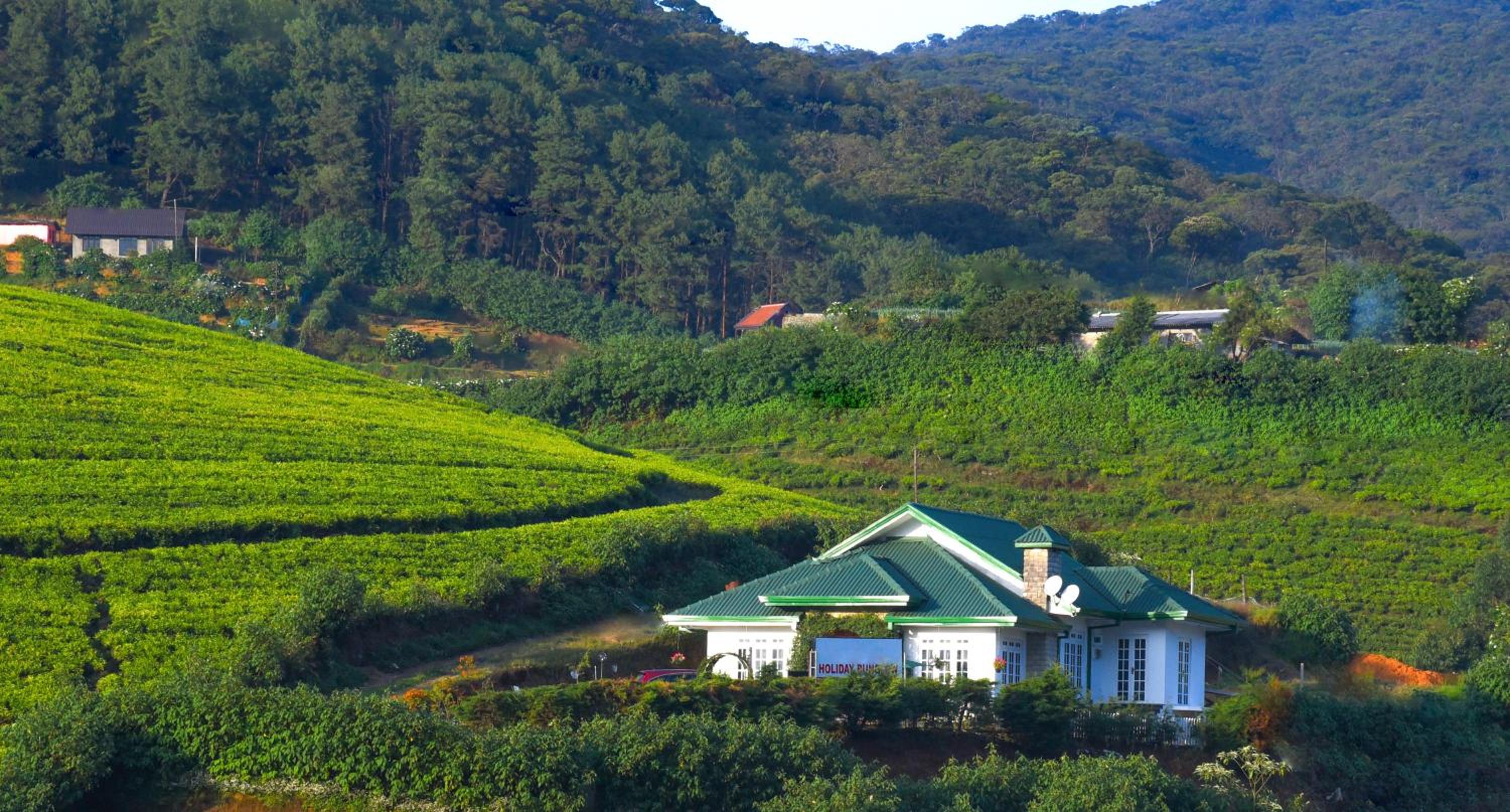 The Royal Terrace Holiday Bungalow