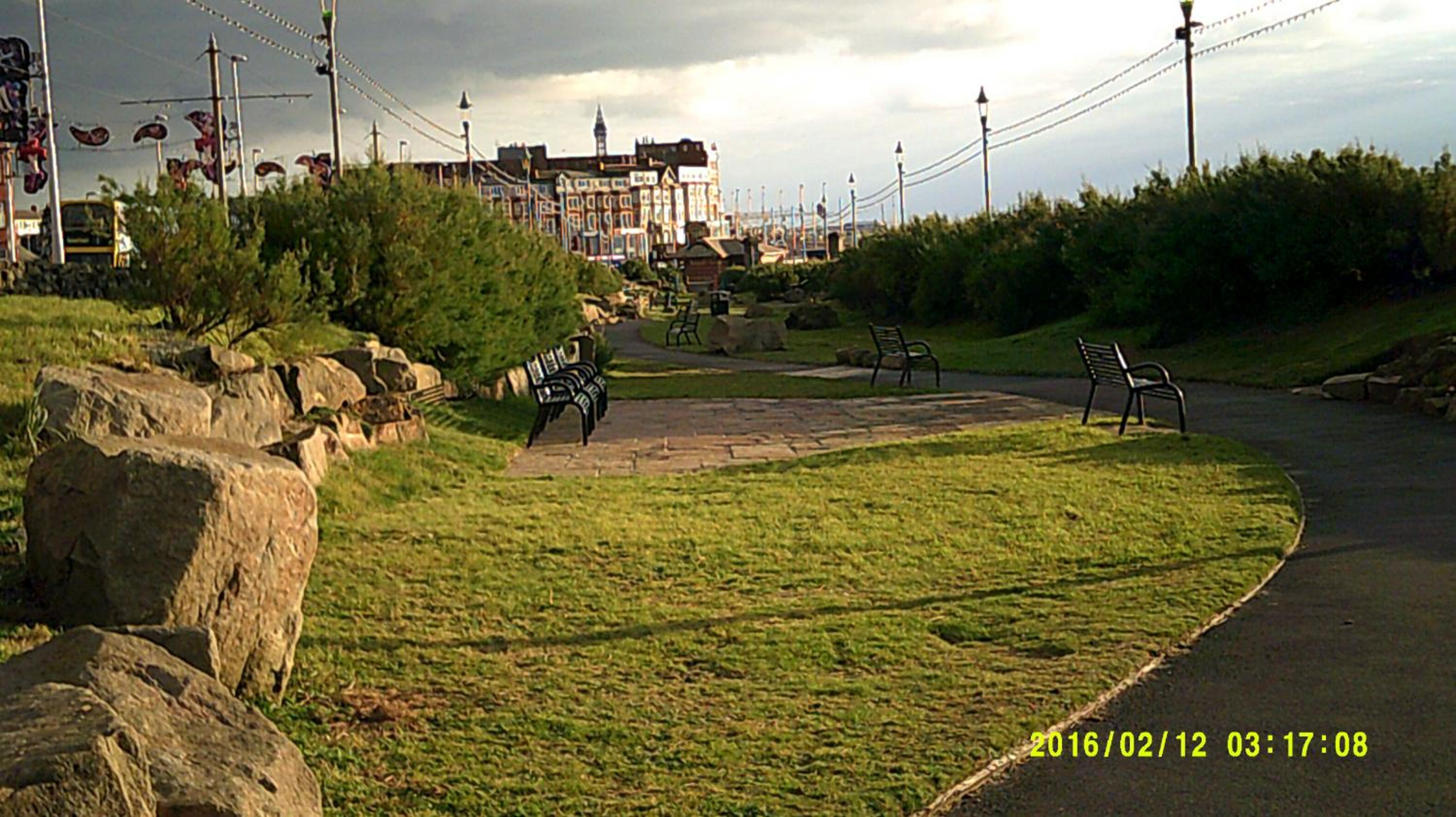 Photo 8
