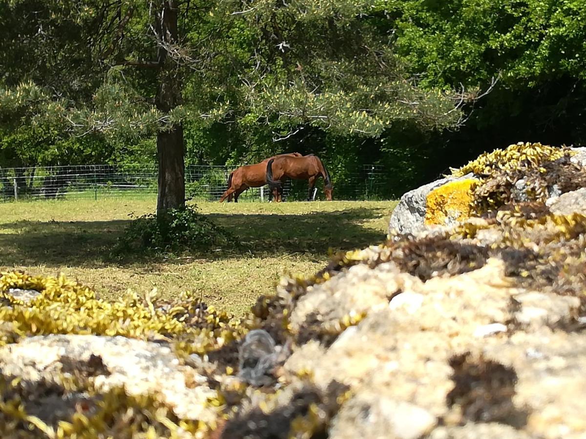 Gîte Les Combes Montignac Lascaux