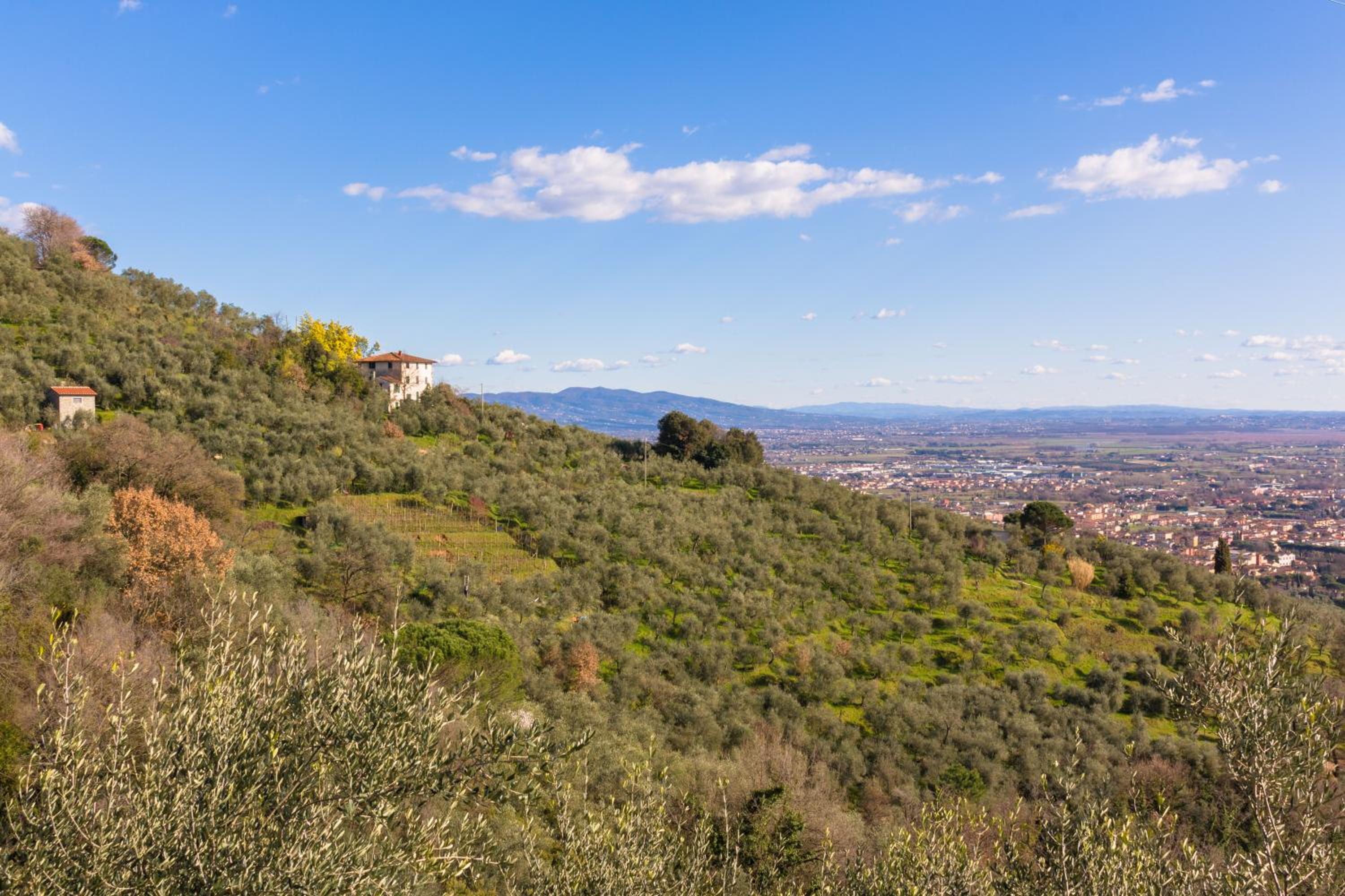 Affittacamere Adri, photo 17