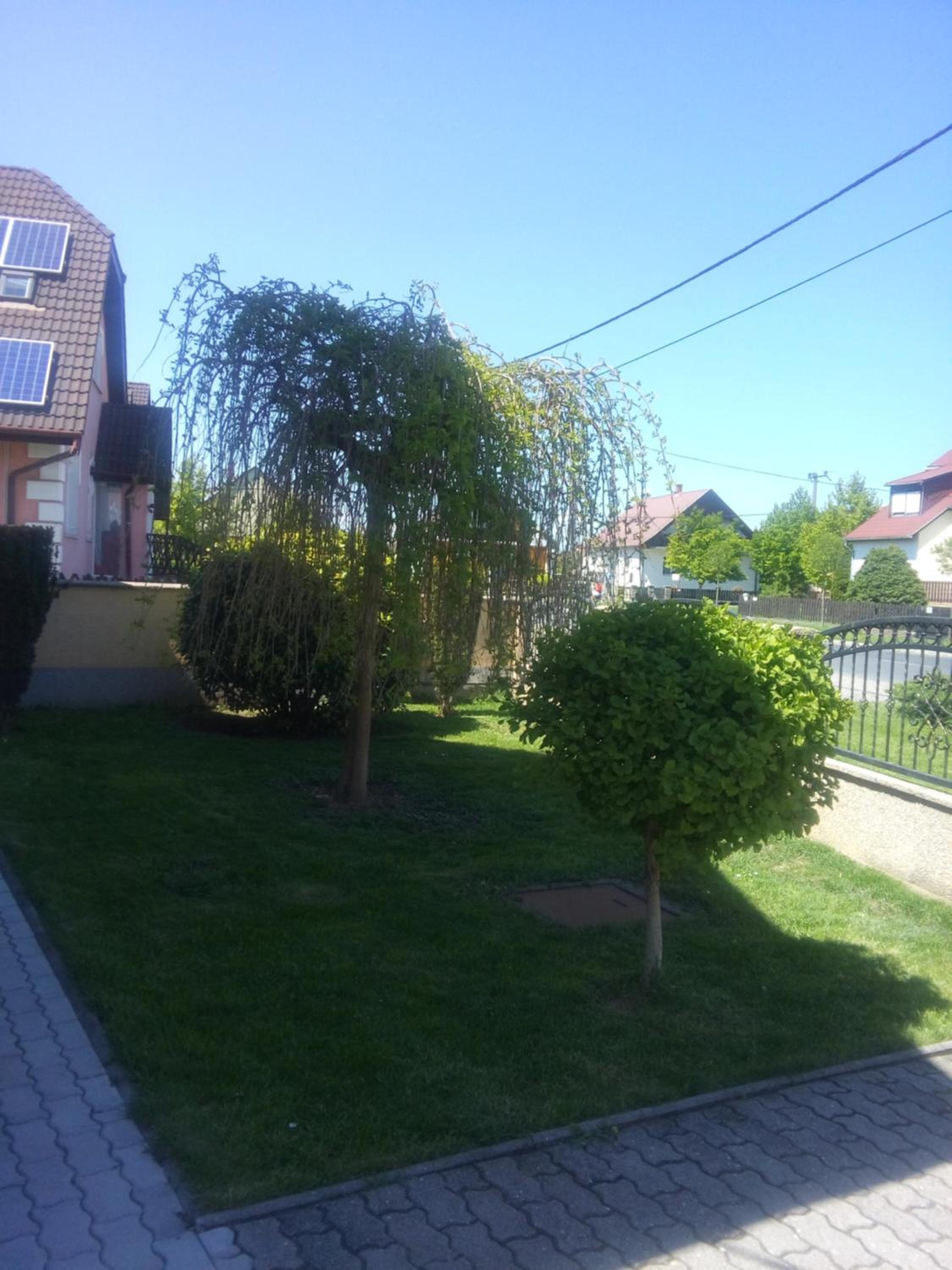 Photo 52