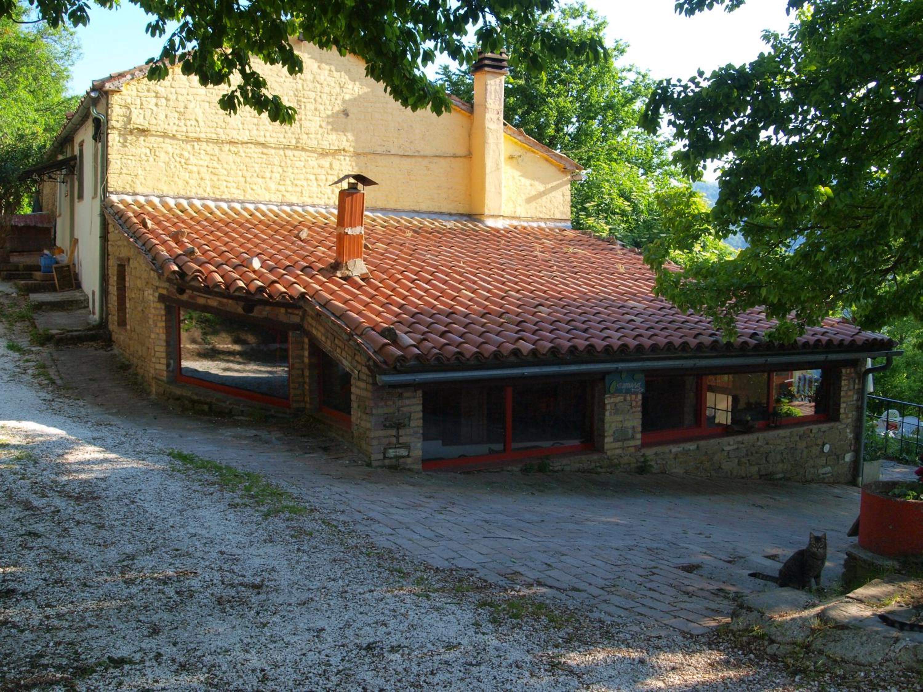 Photo 29