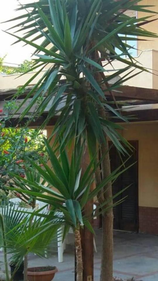 villa del melograno photo 5