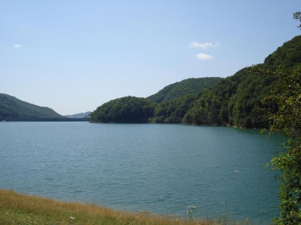 Photo 21