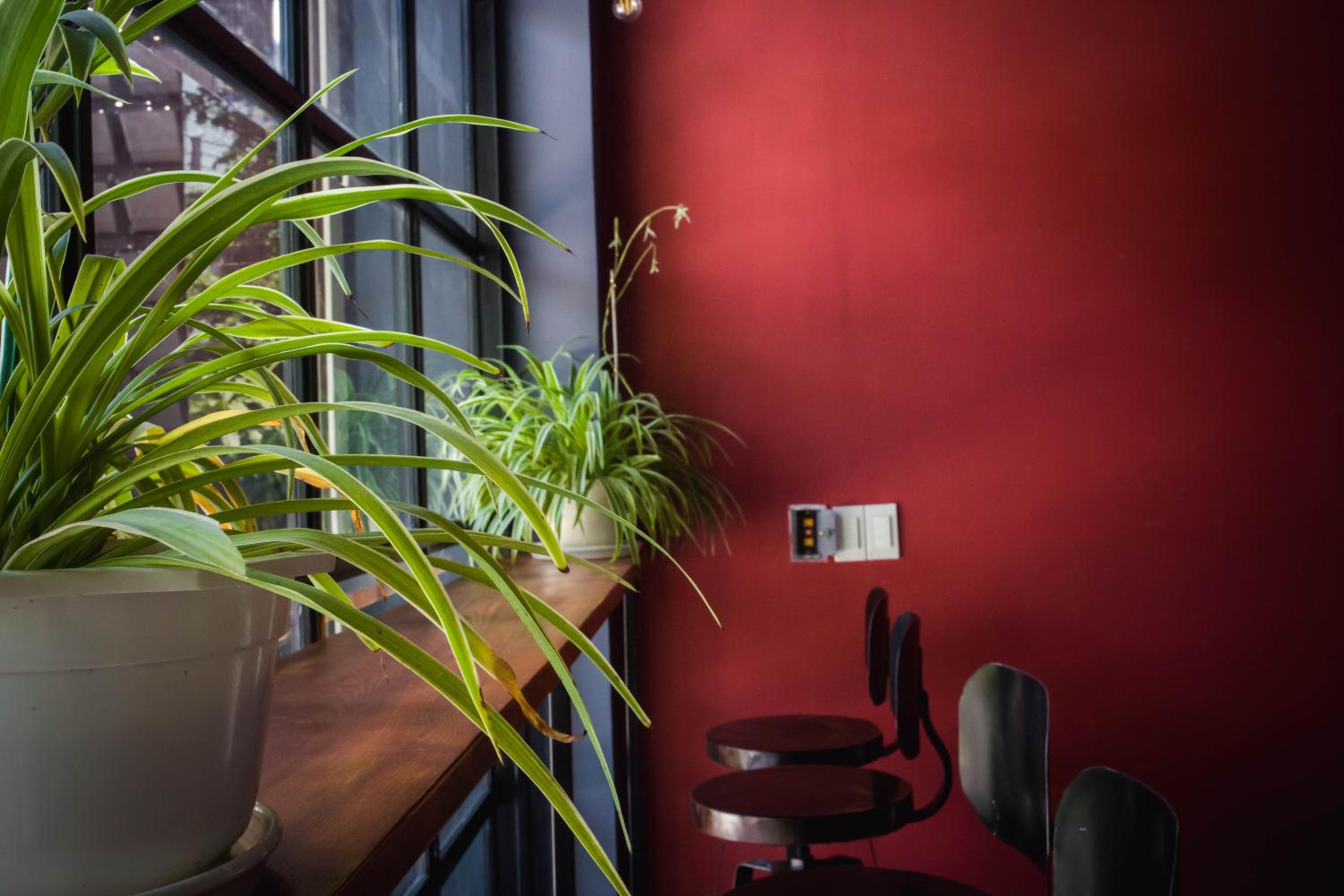 Kon-Tiki DaNang Hostel