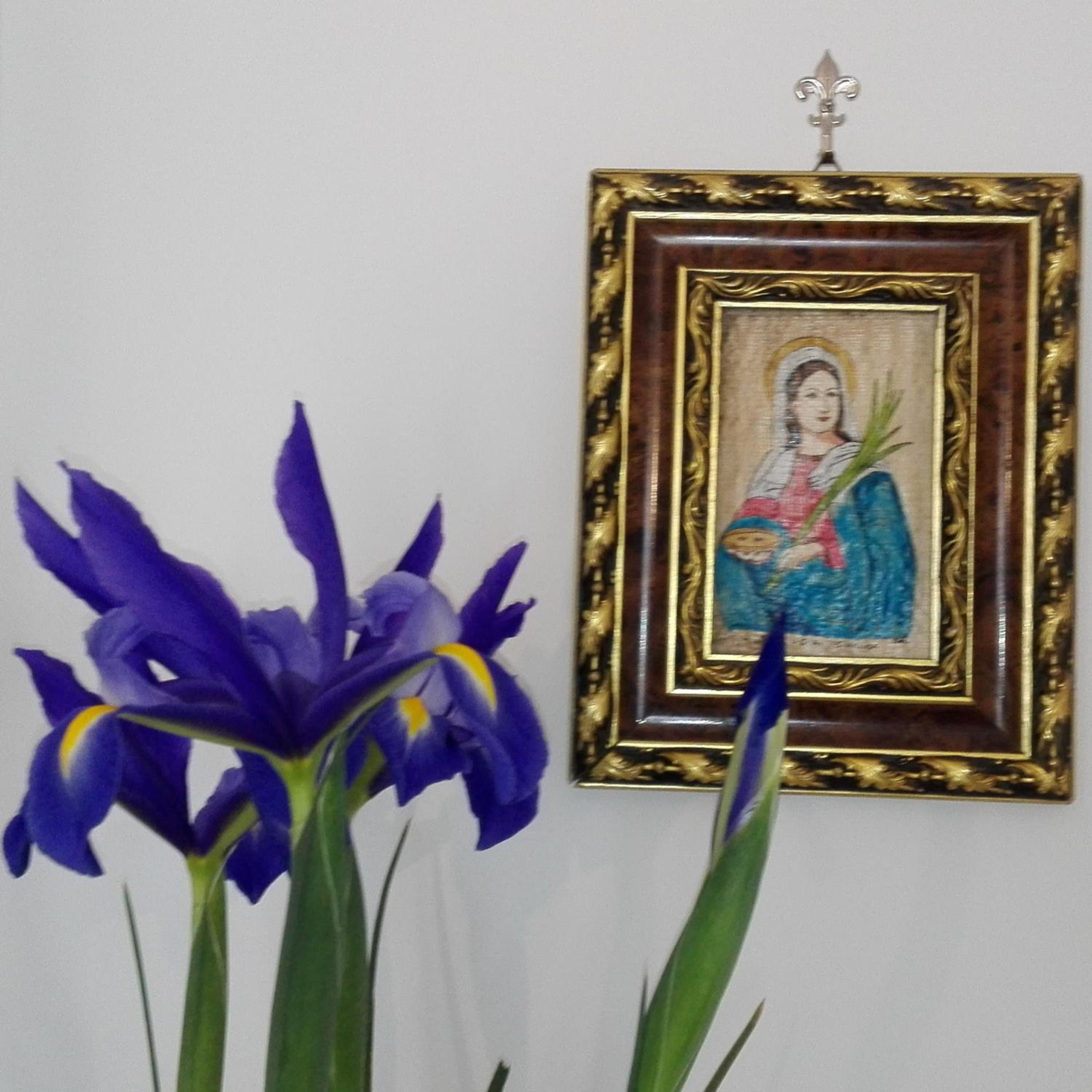 Photo 45