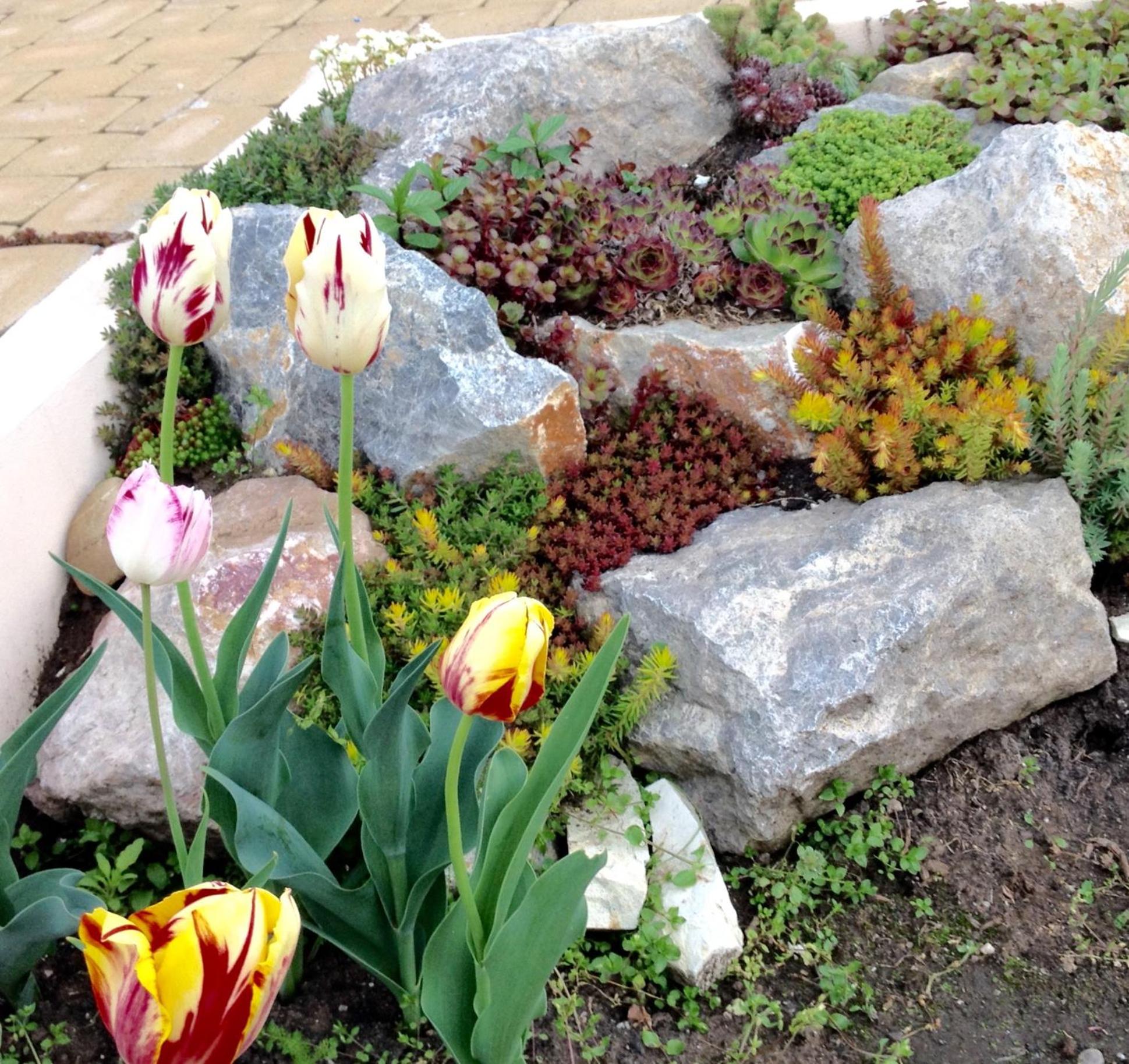 Photo 21