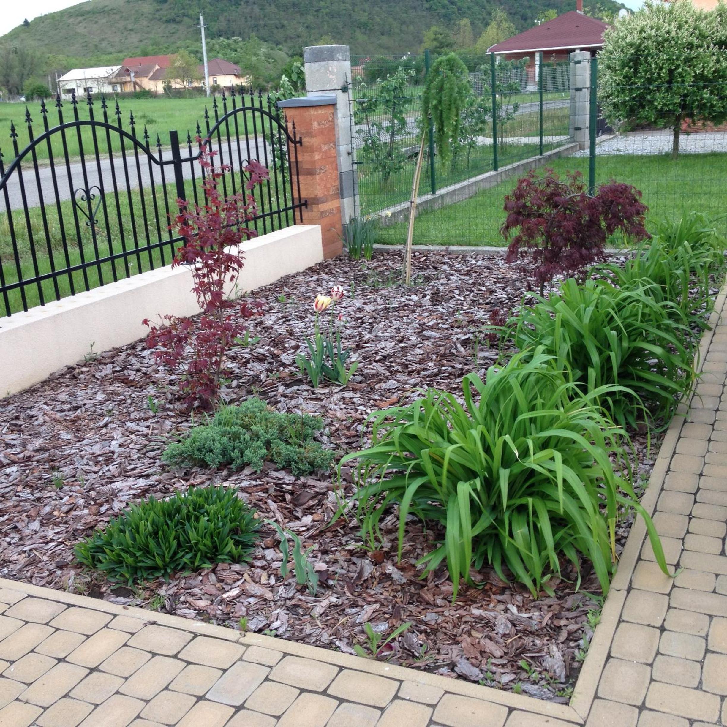 Photo 20