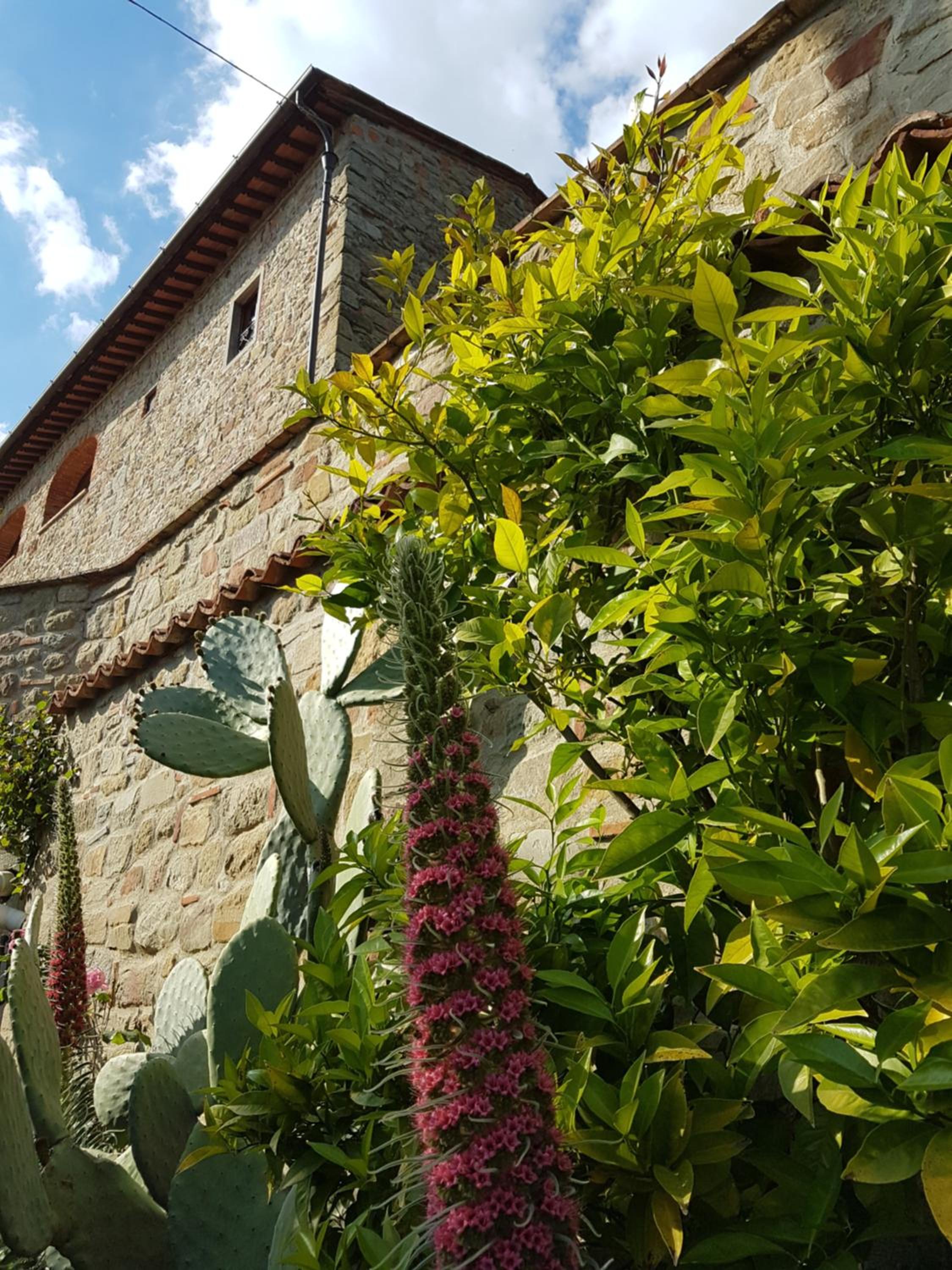 Affittacamere Adri en Uzzano