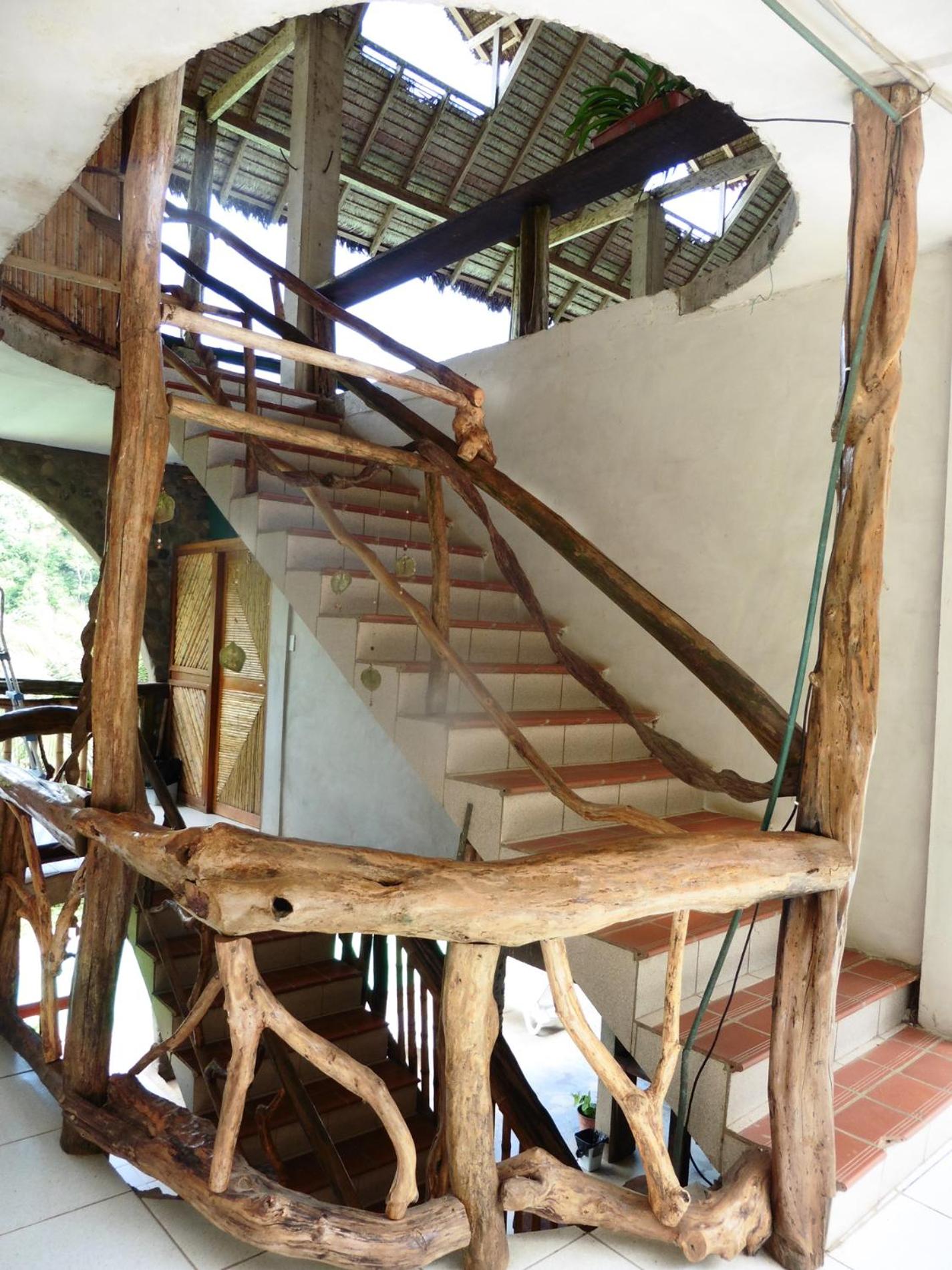 Lobo Hostel - Rurrenabaque
