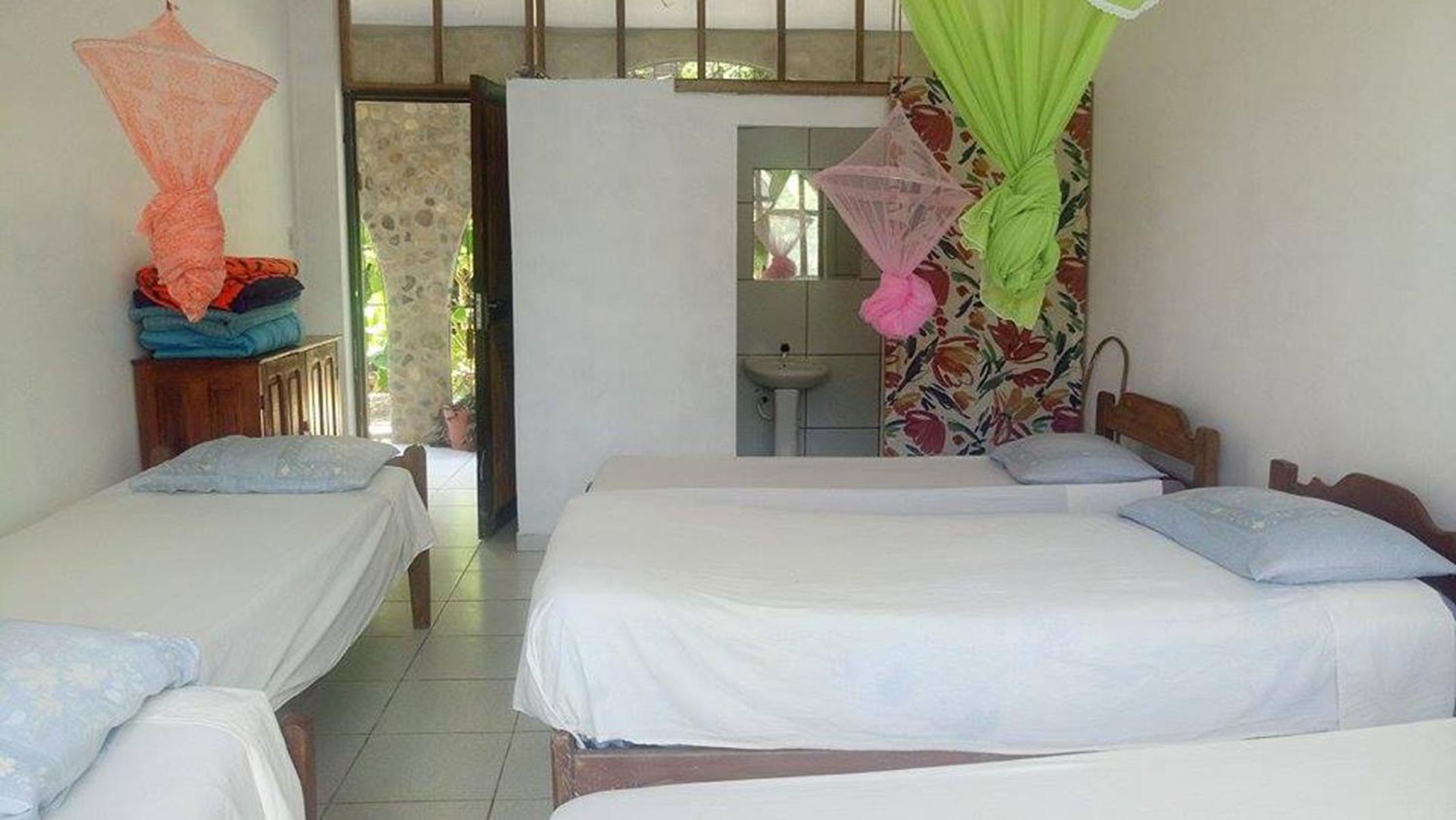 Lobo Hostel - Rurrenabaque
