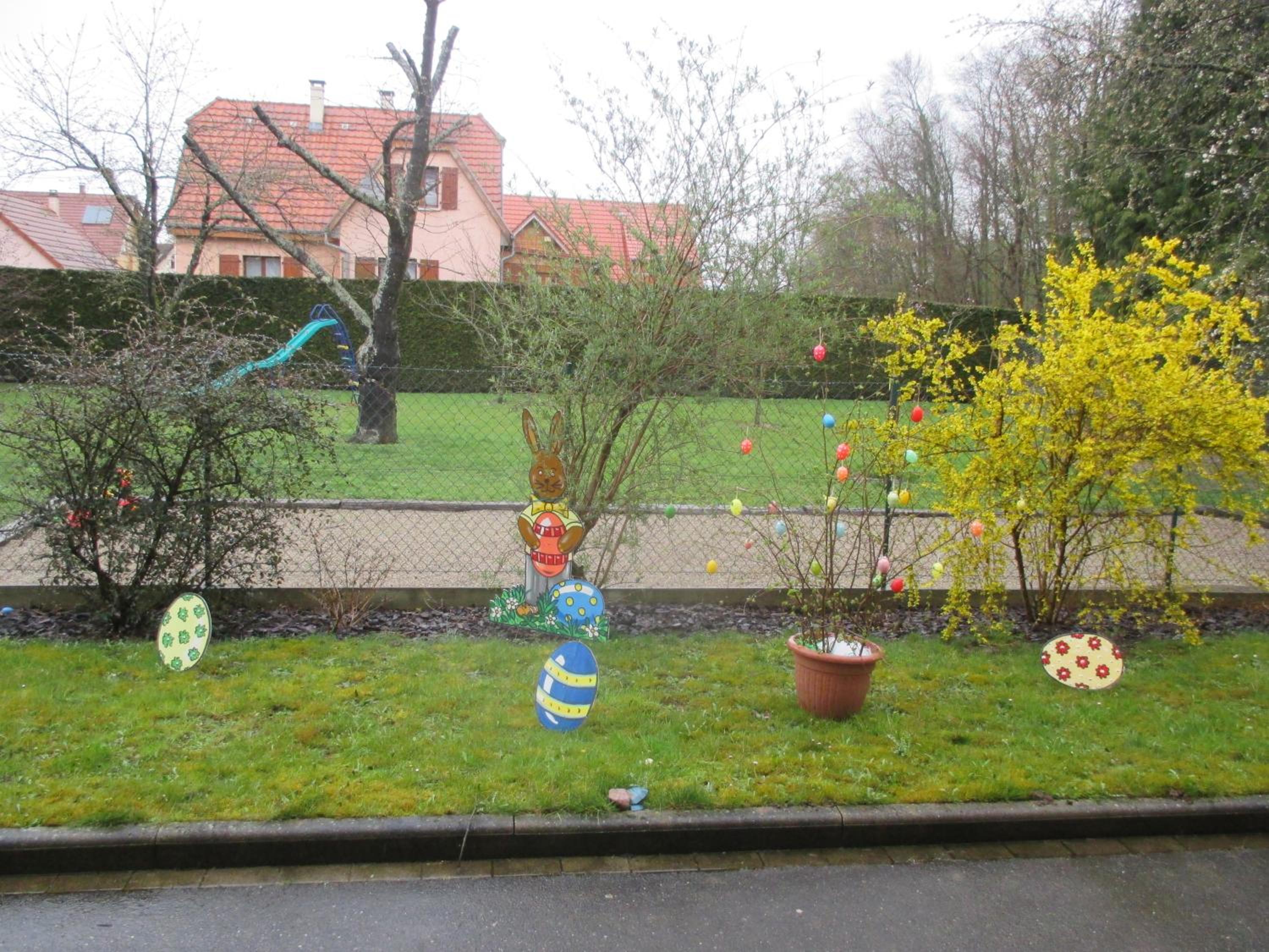 Photo 7