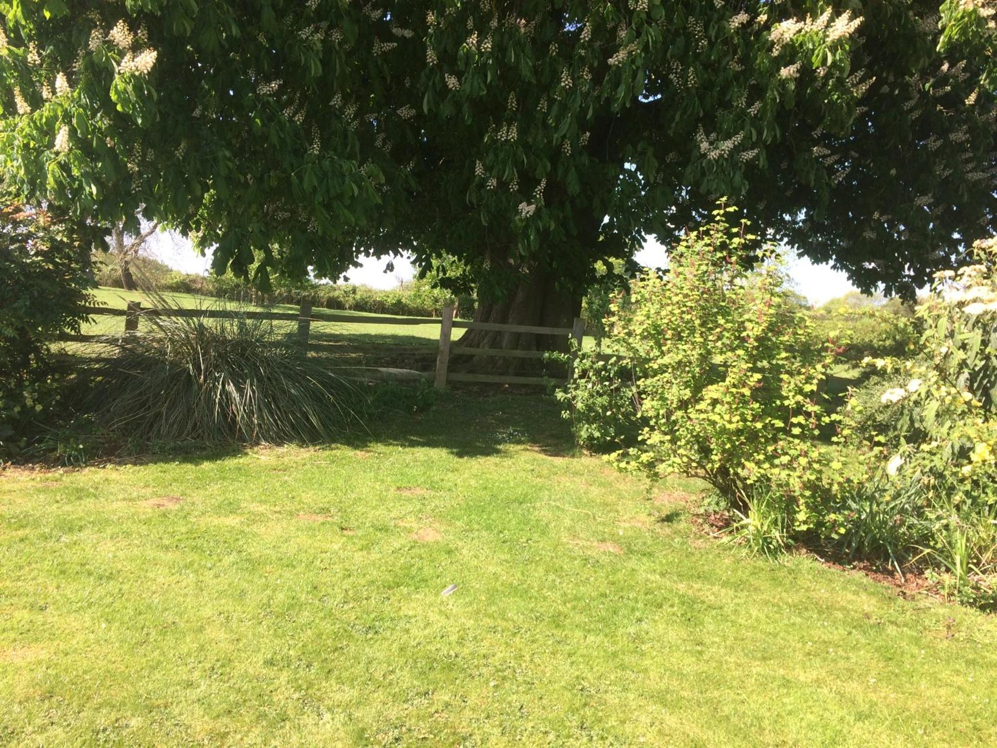 Mill Farm view 3