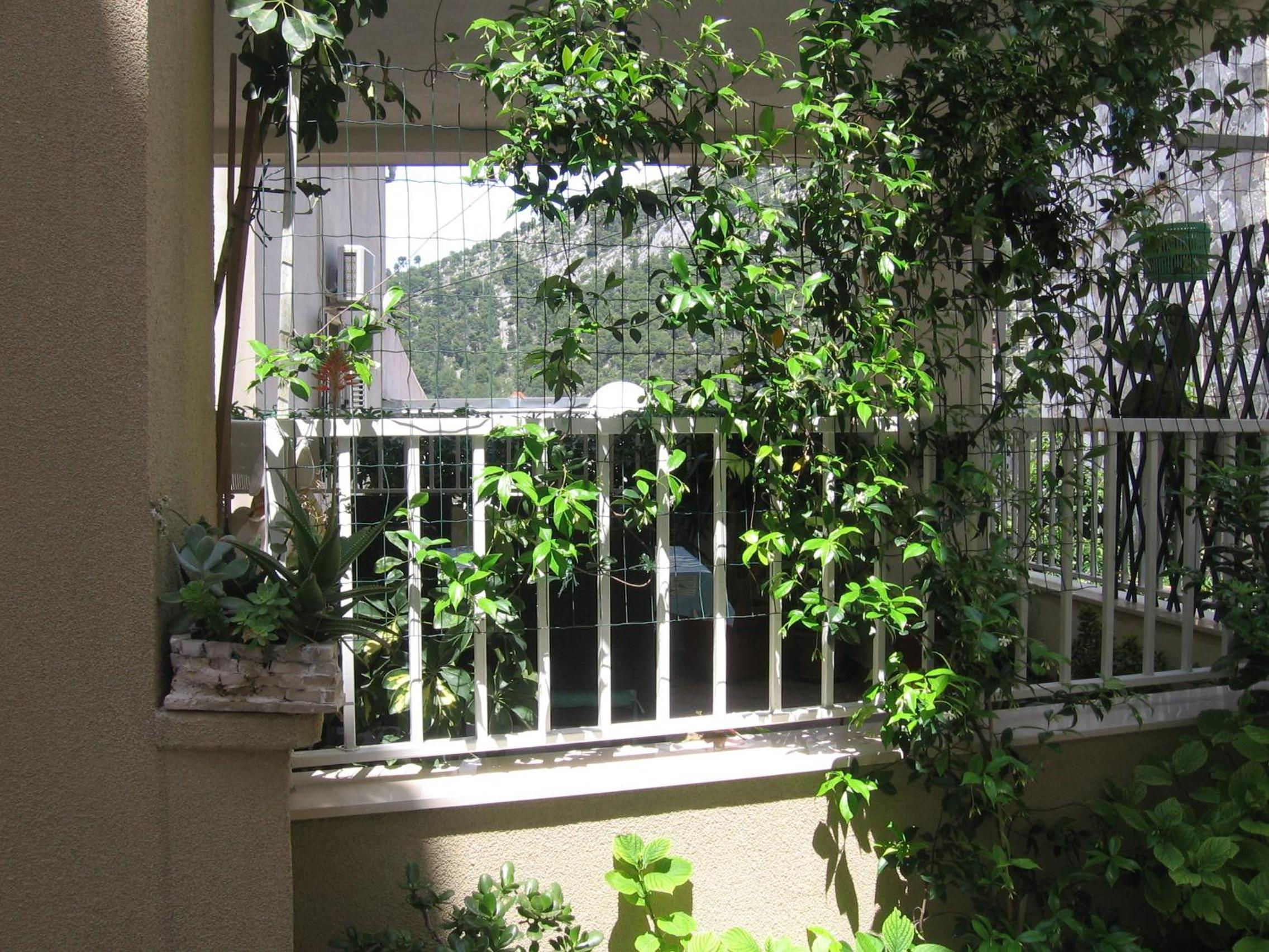 Photo 42