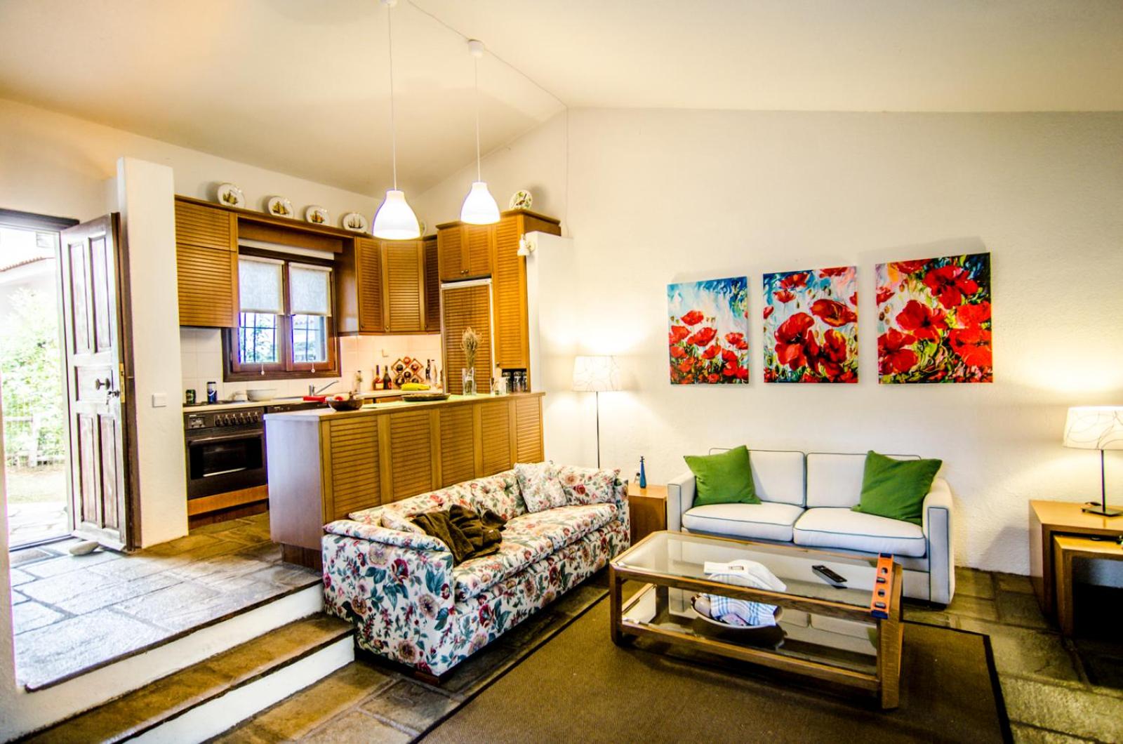 Beautiful Holiday Villa in Sani view 2