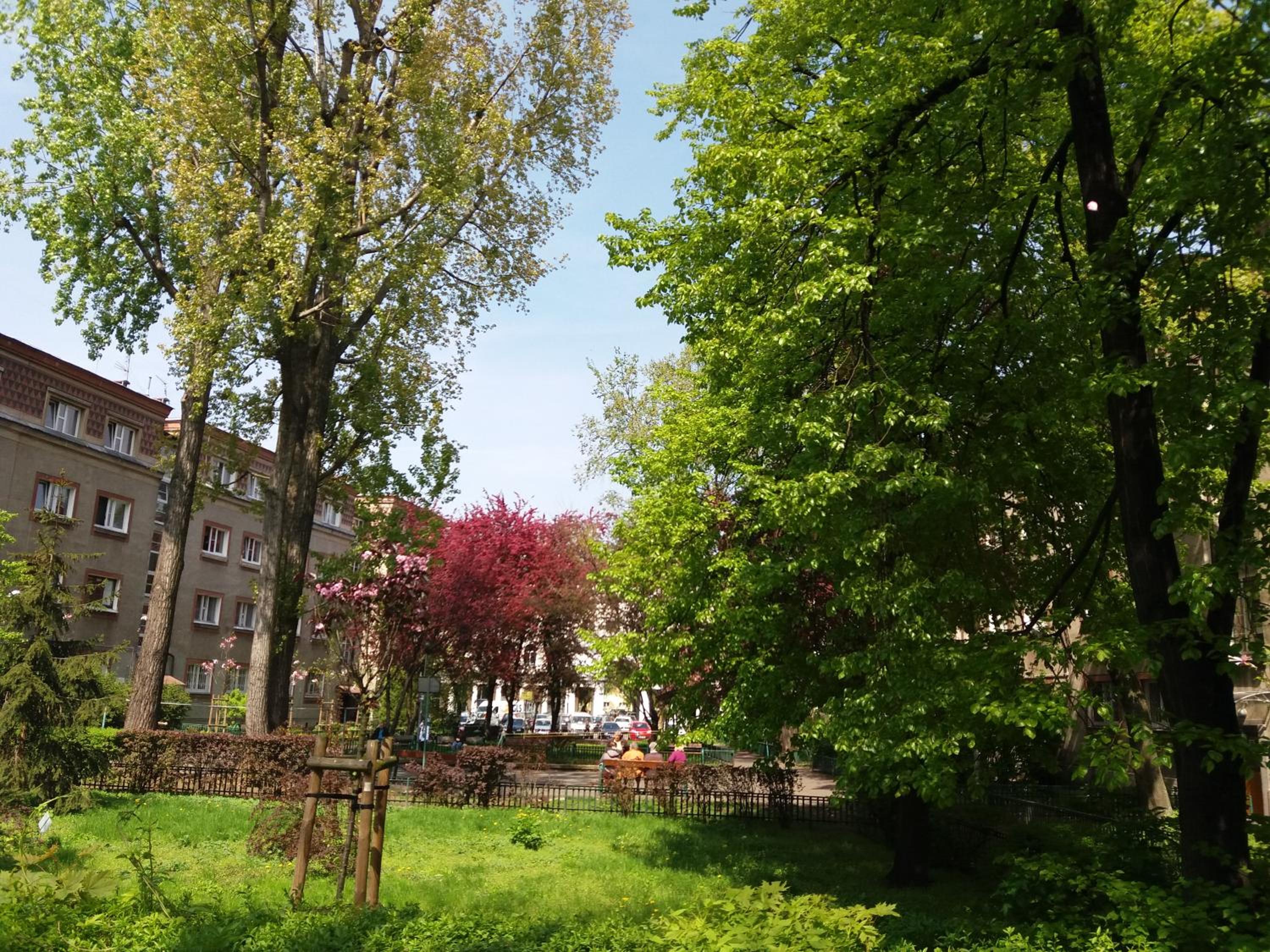 Photo 17