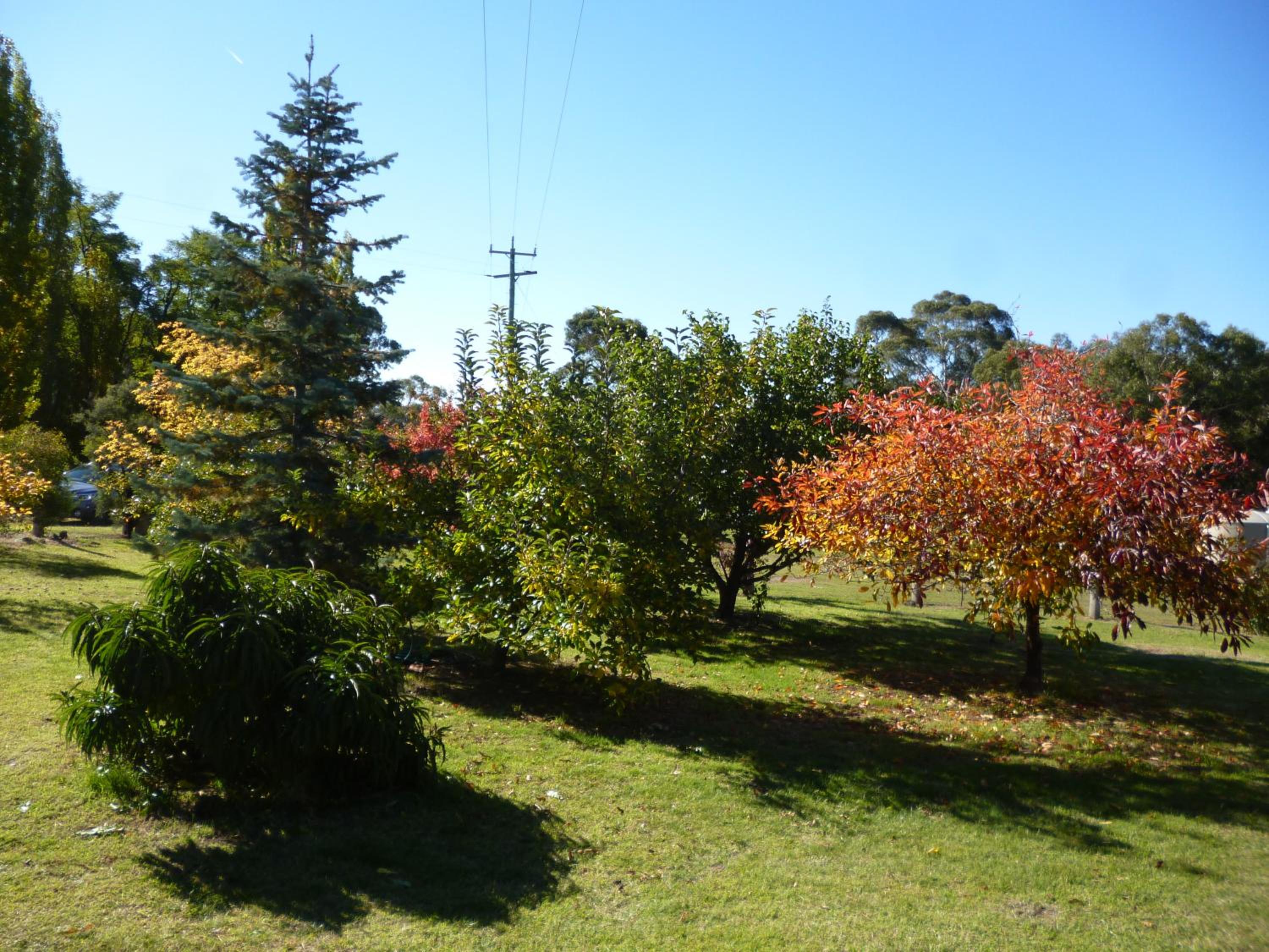 Woodvale at Cooma