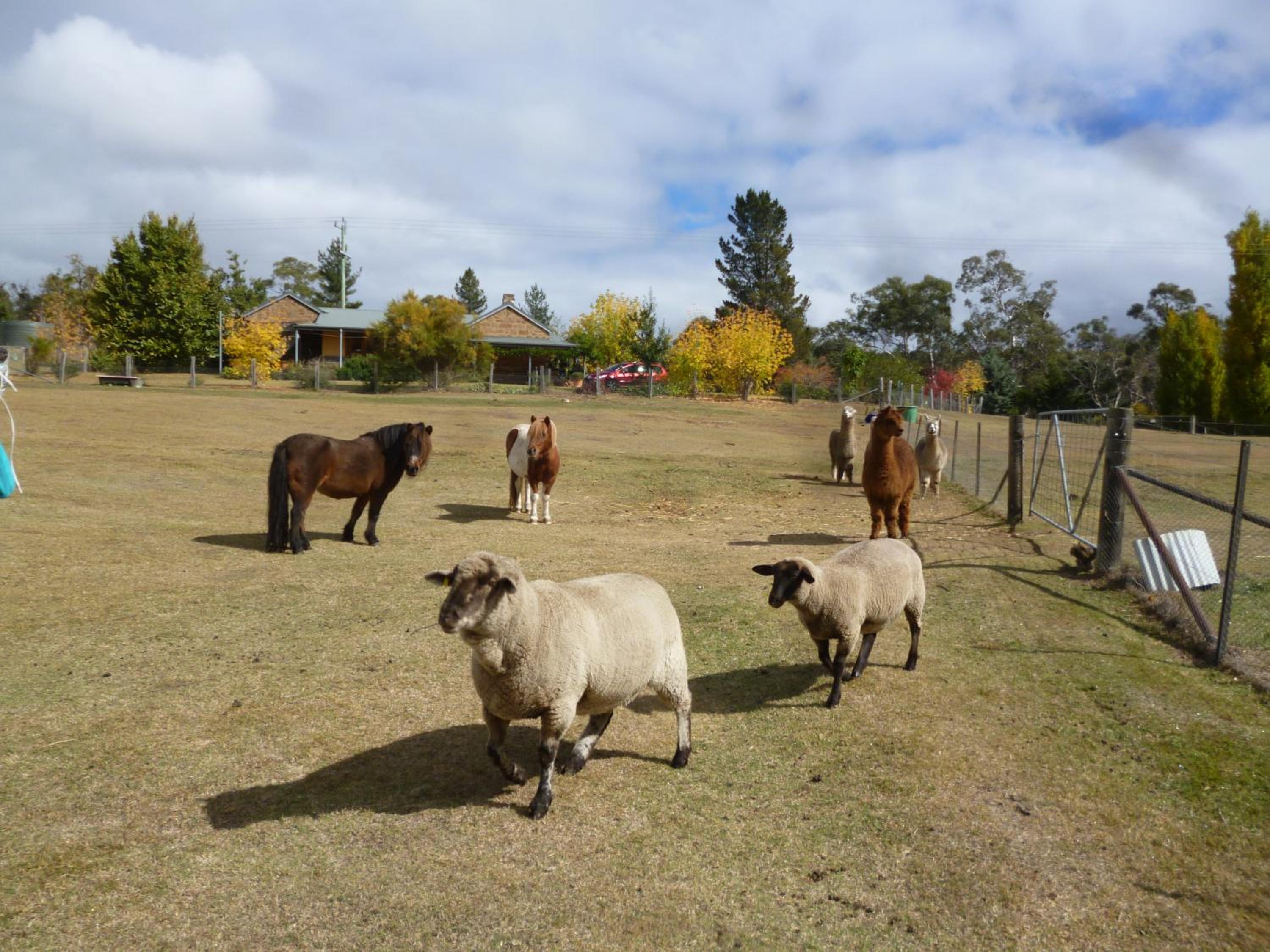 Woodvale at Cooma