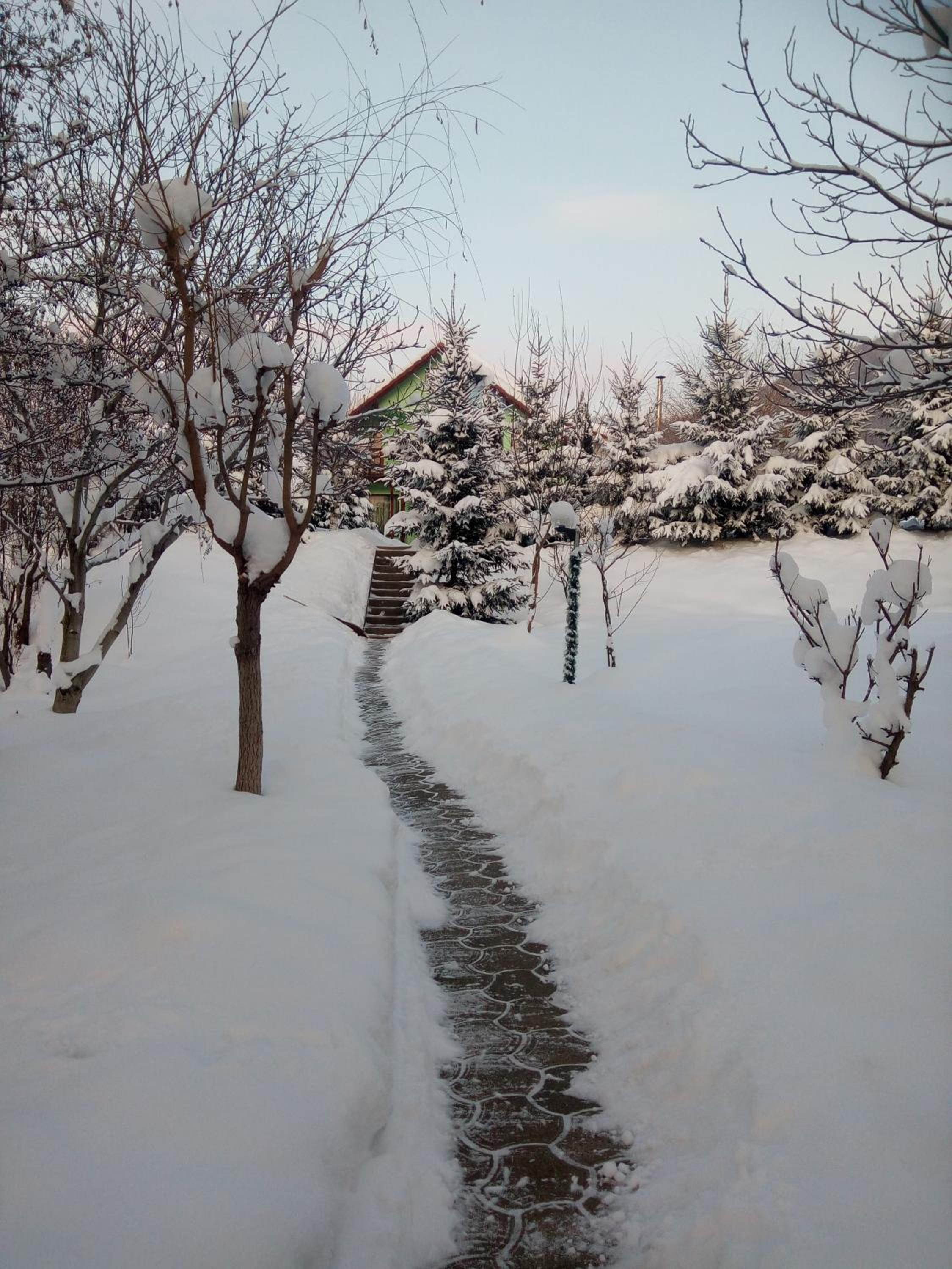 Photo 42