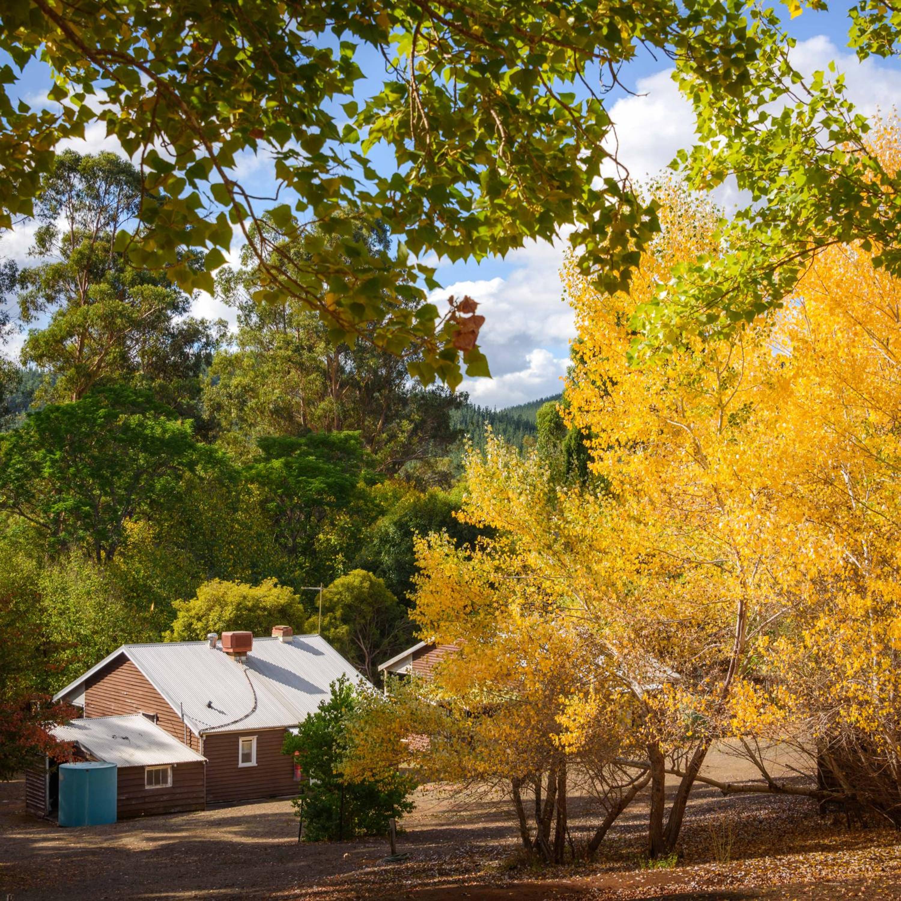 Lewana Cottages