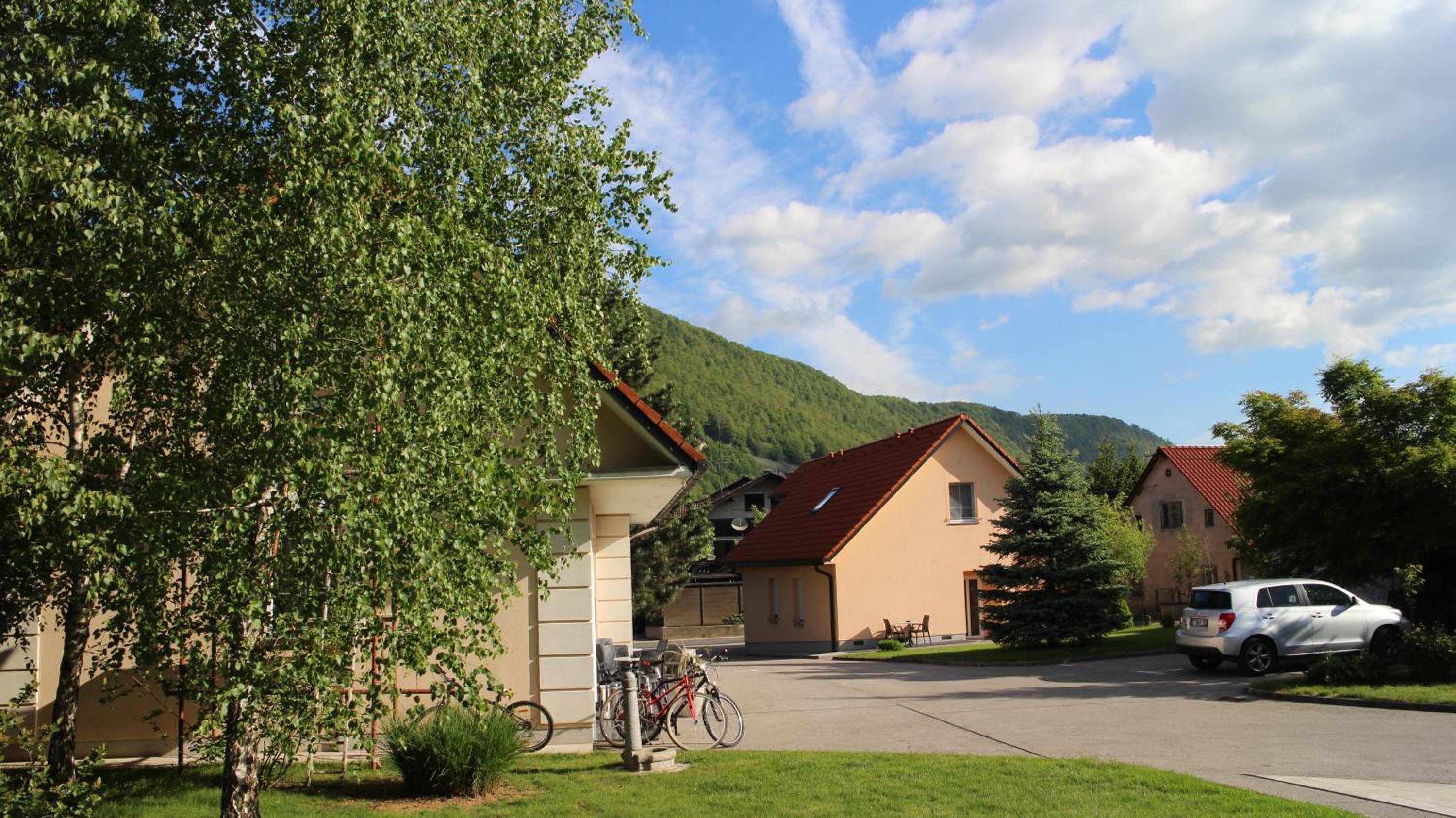 Photo 6