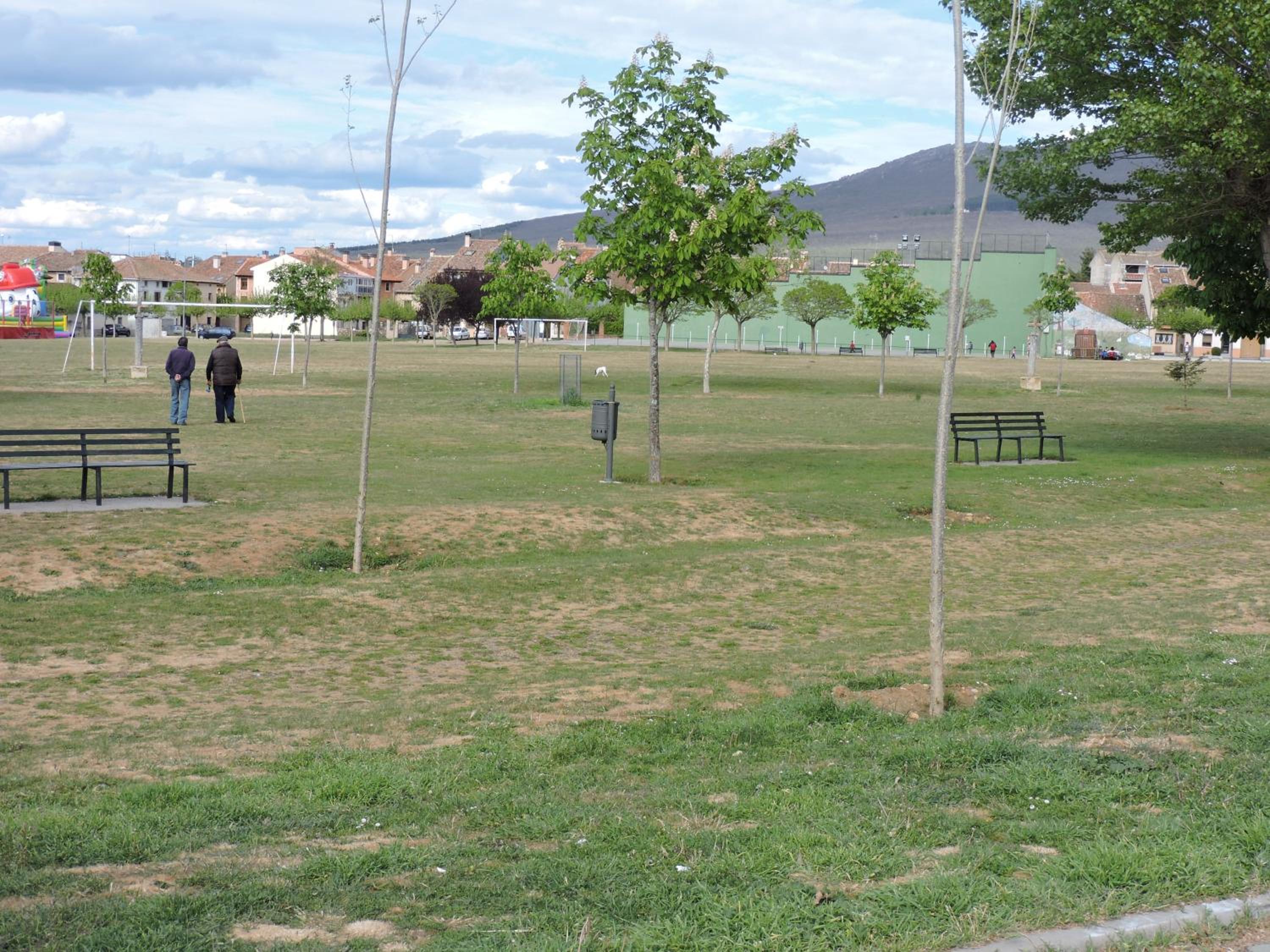 Photo 12