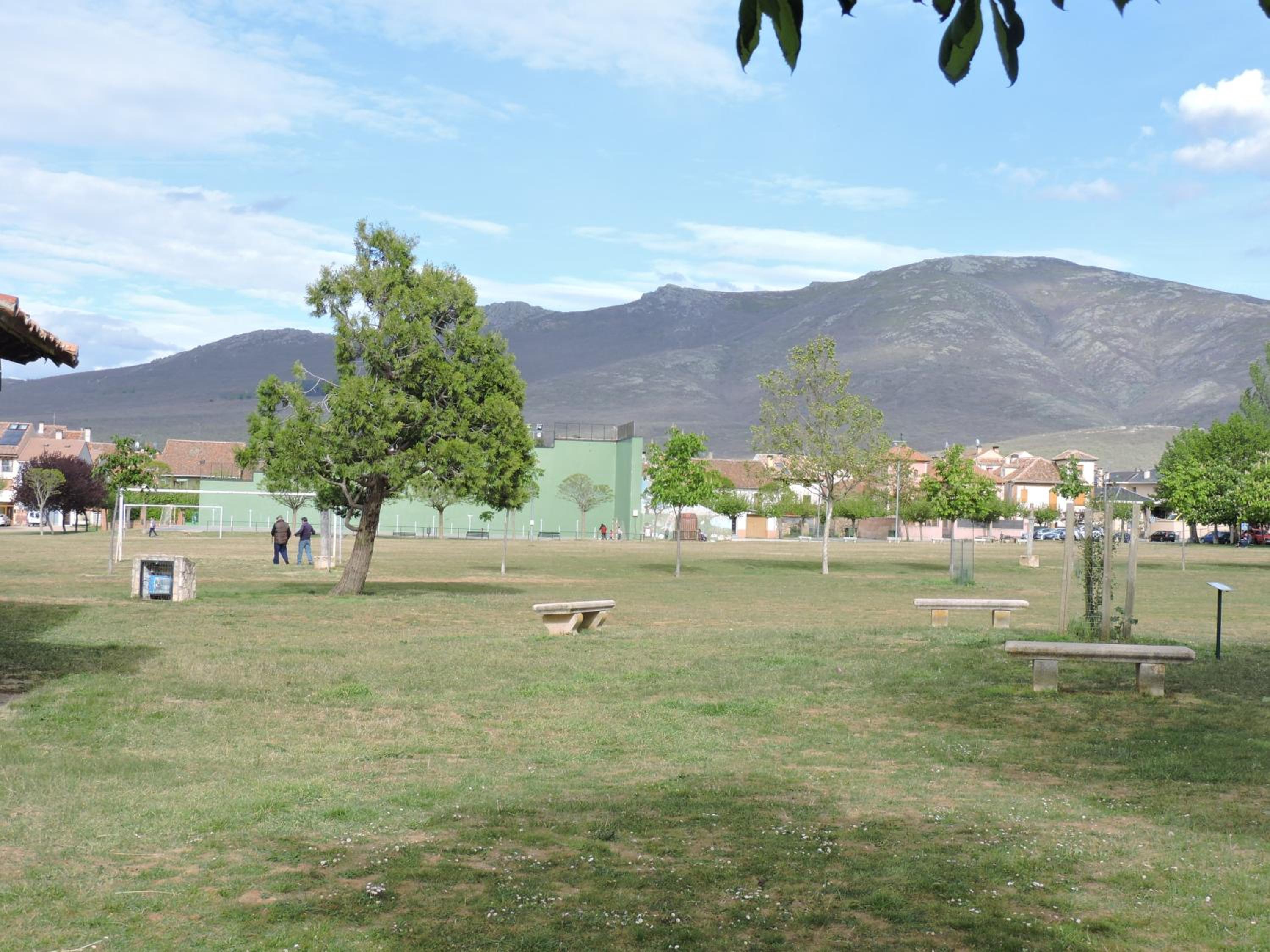 Photo 19