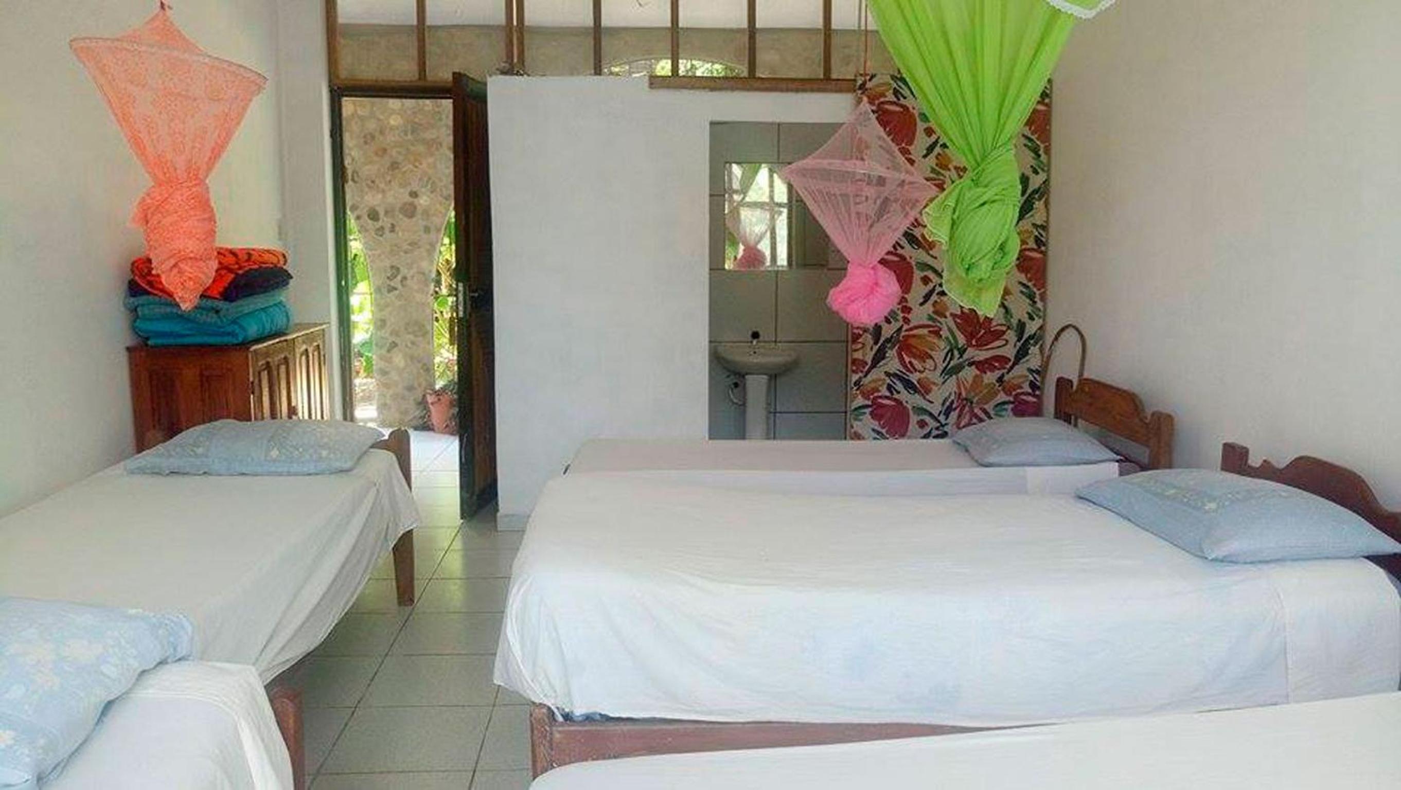 Lobo Hostel - Rurrenabaque