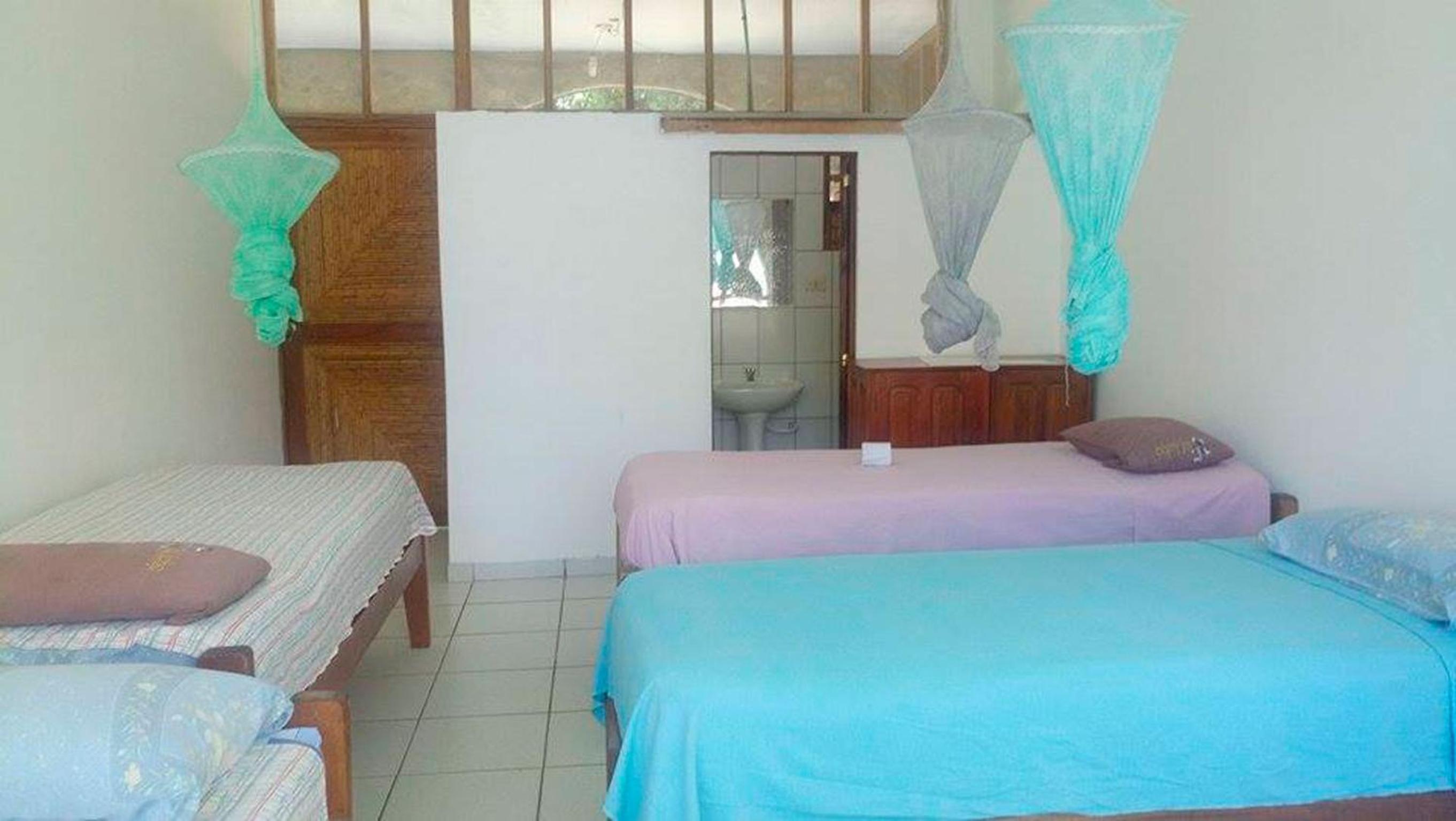 Lobo Hostel - Rurrenabaque