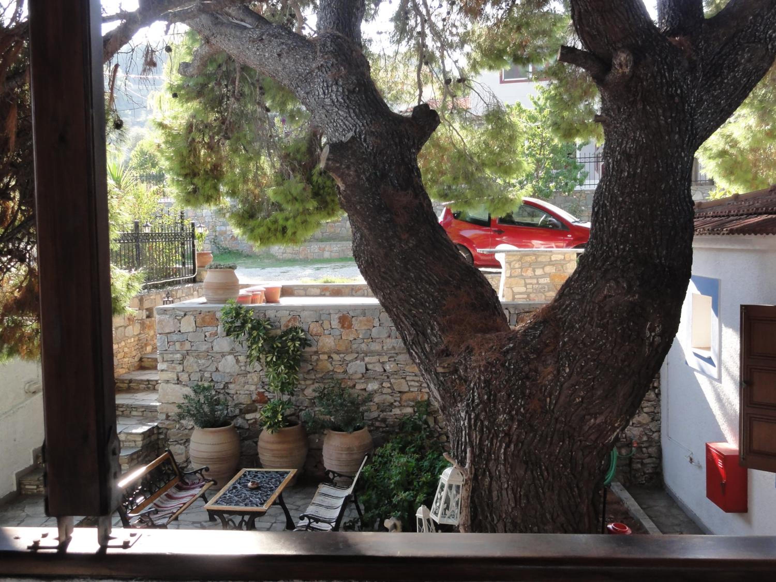 Photo 15