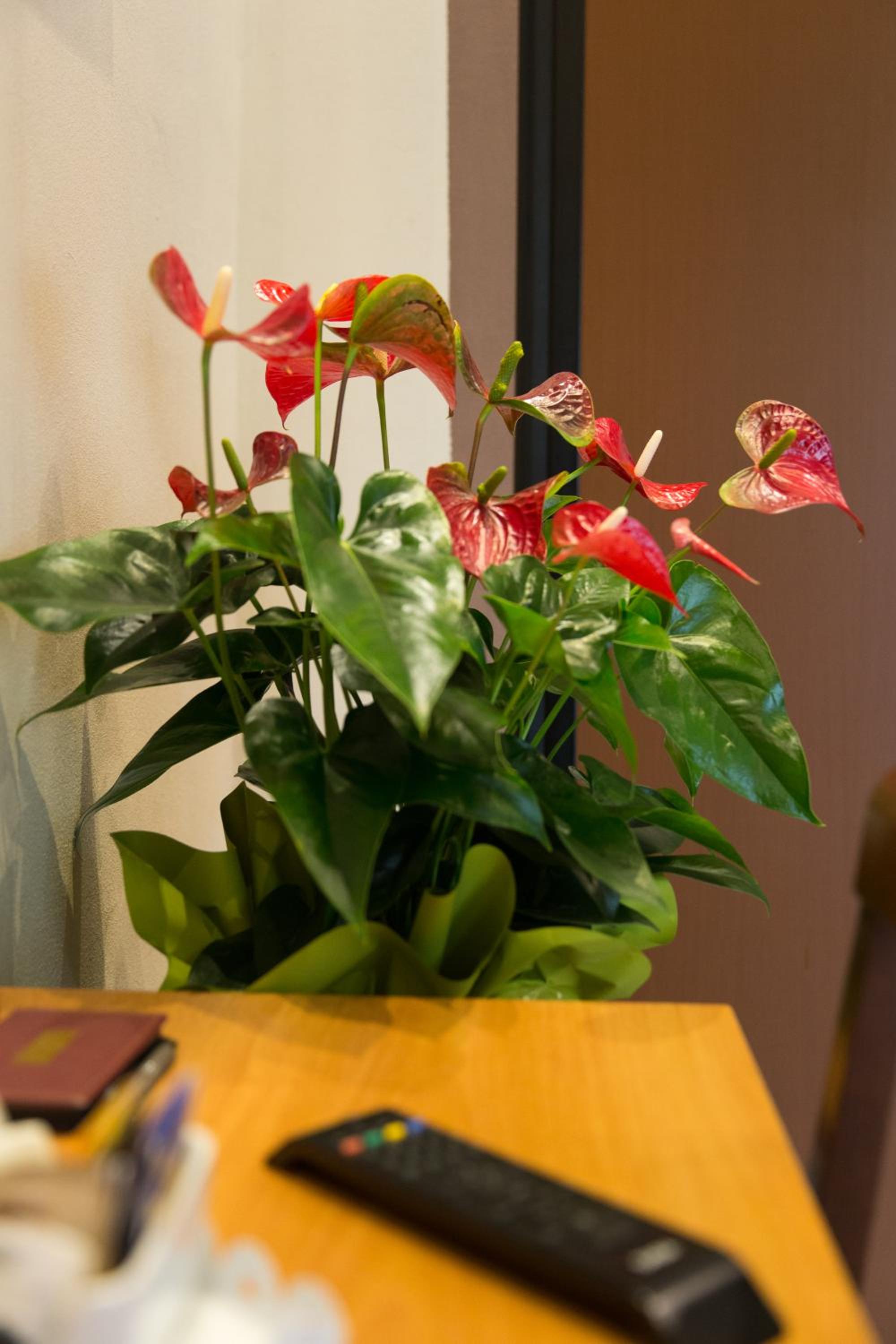 Photo 22