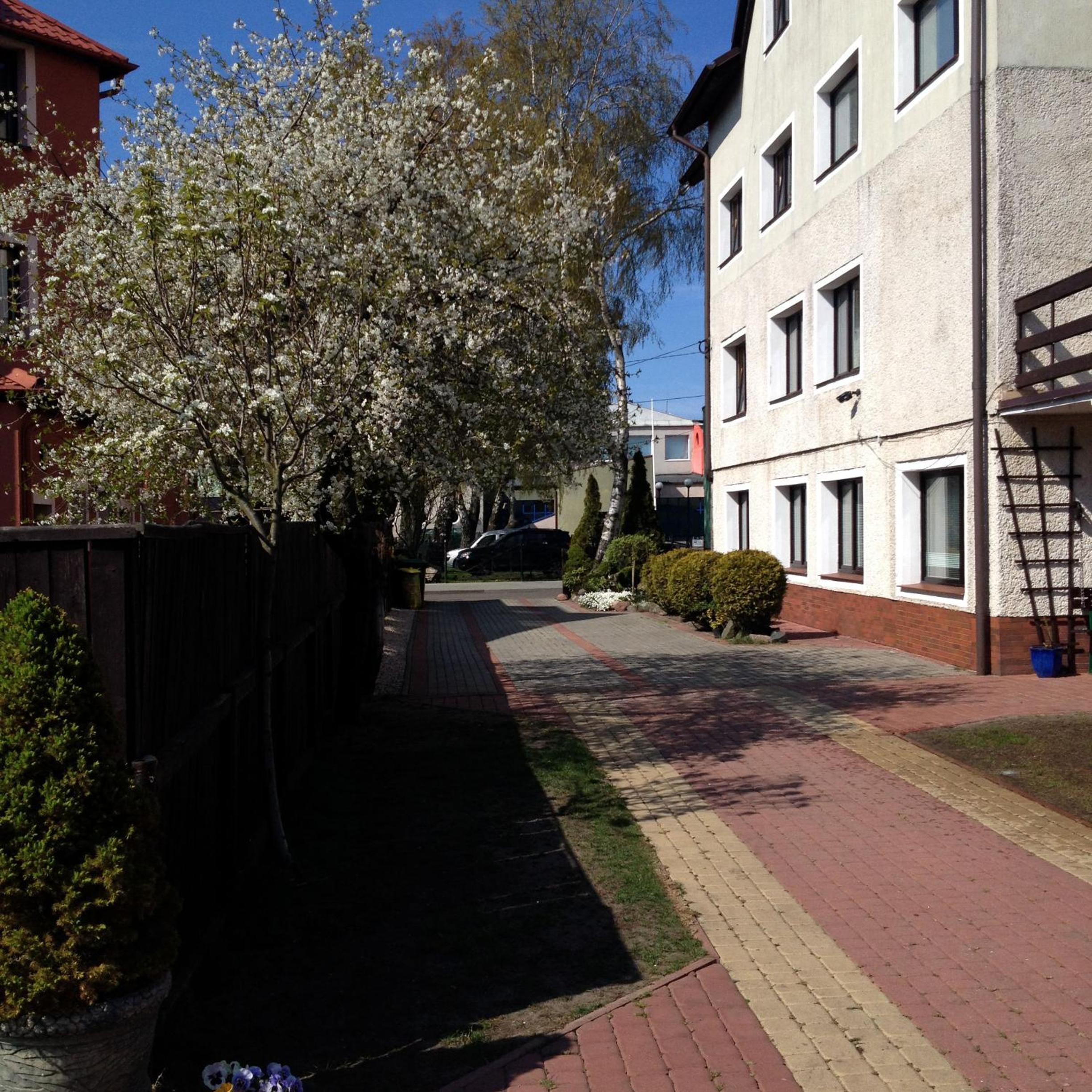 Photo 27