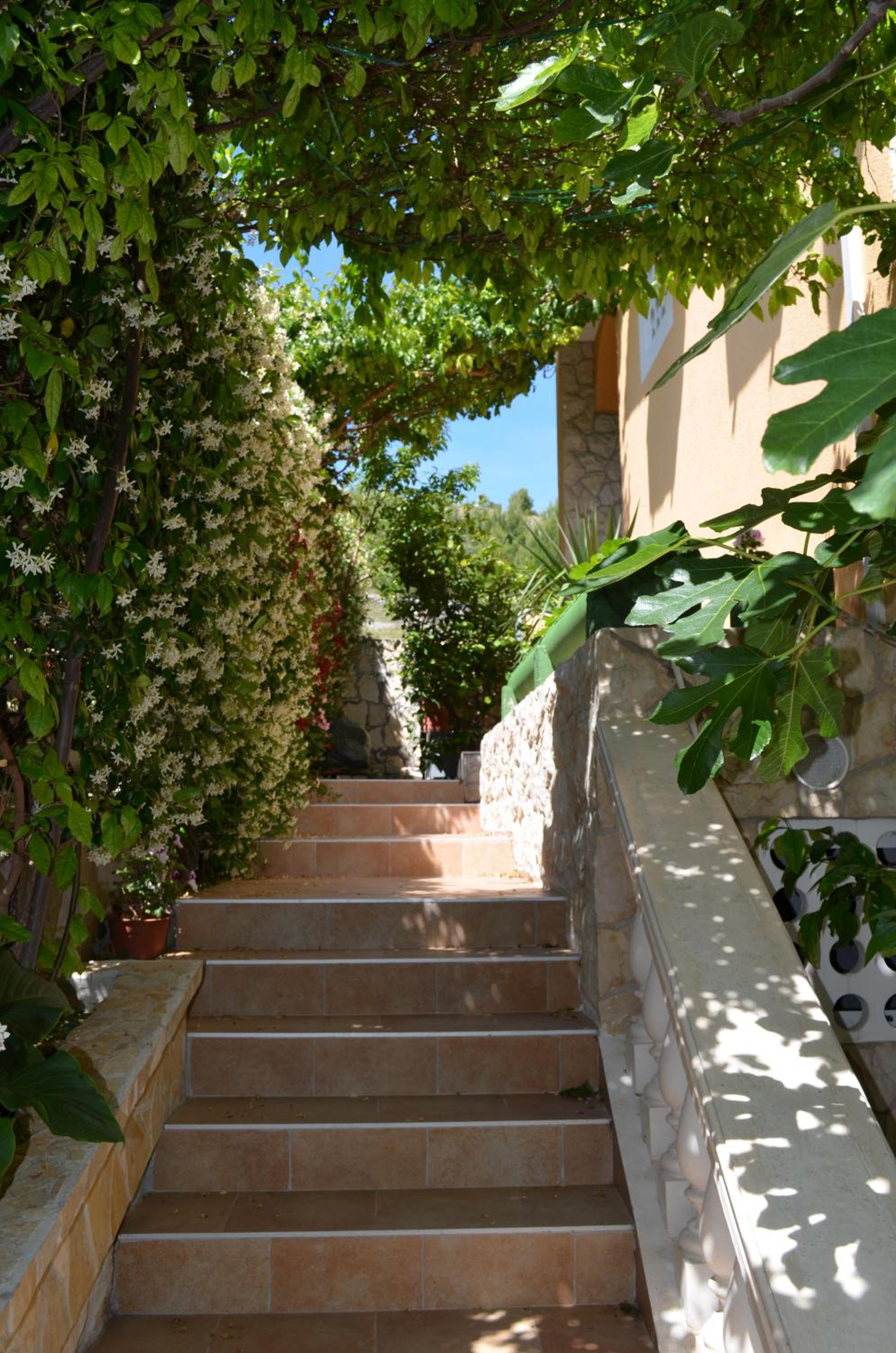 Photo 36