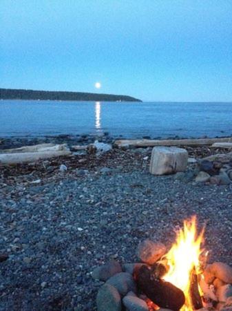 Driftwood by the Sea Inn