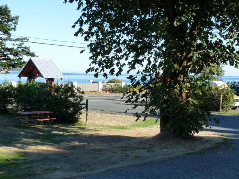 Driftwood by the Sea Inn